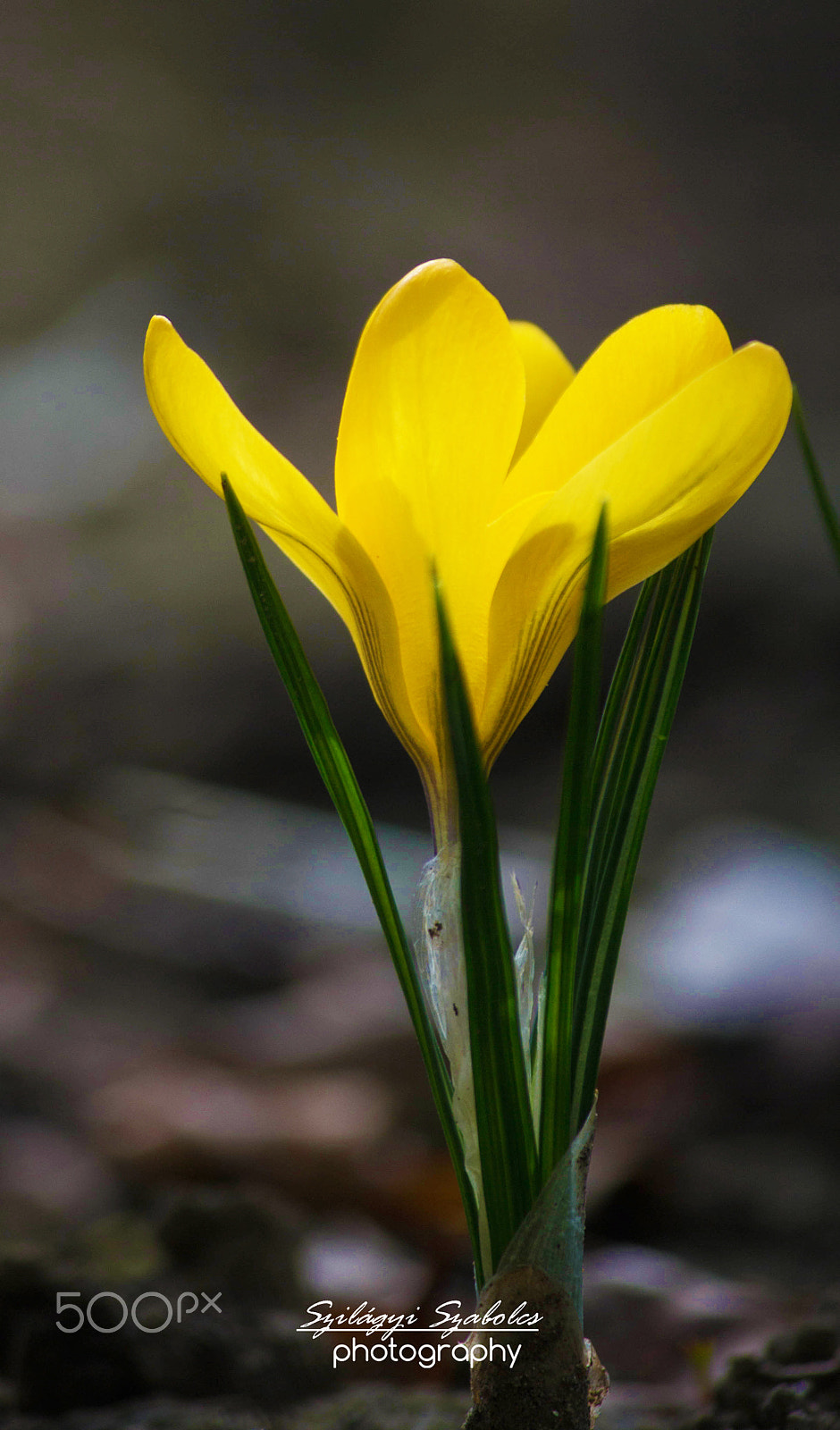 Canon EOS M sample photo