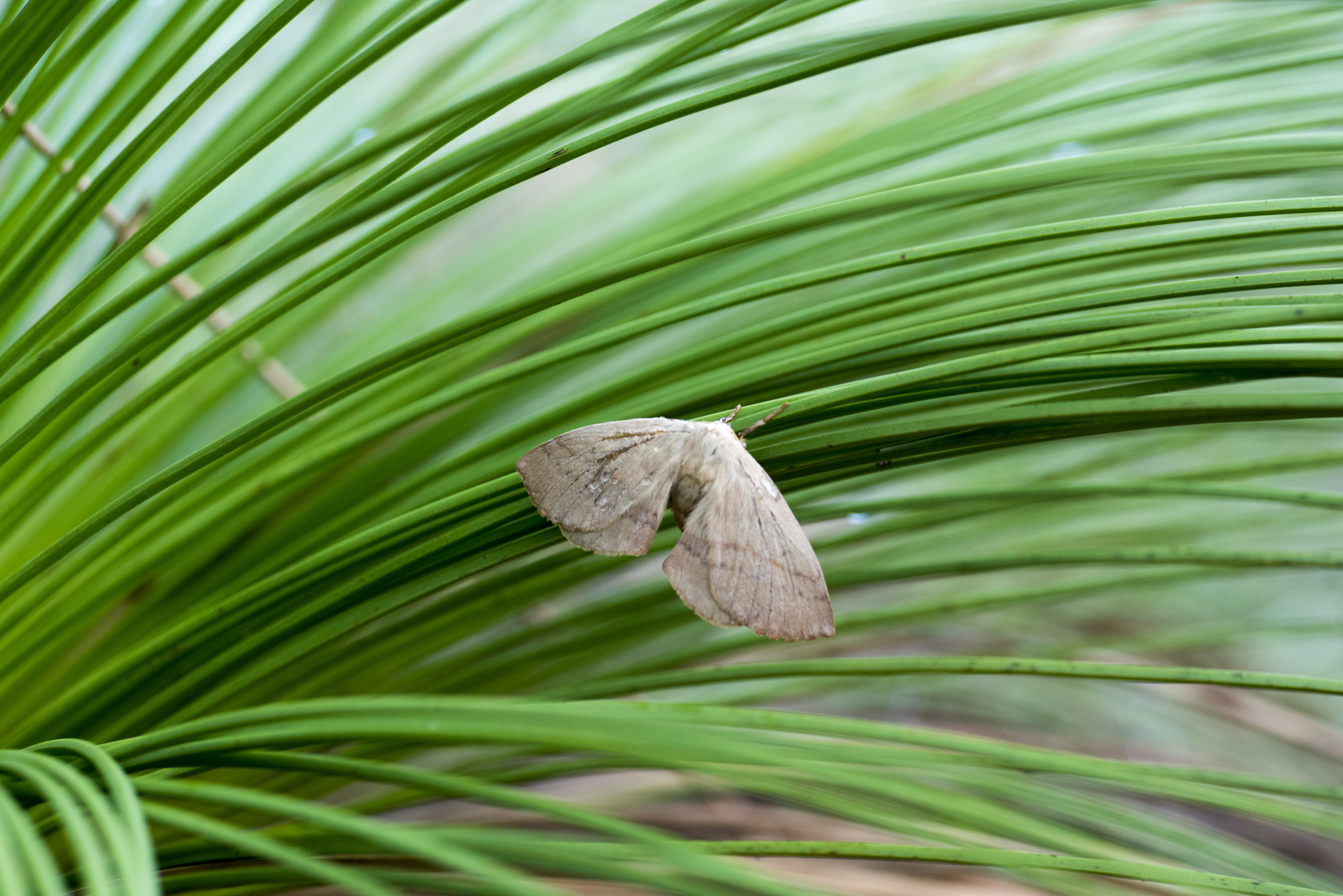 Nikon D810 sample photo. Unseen beauty of western australia photography