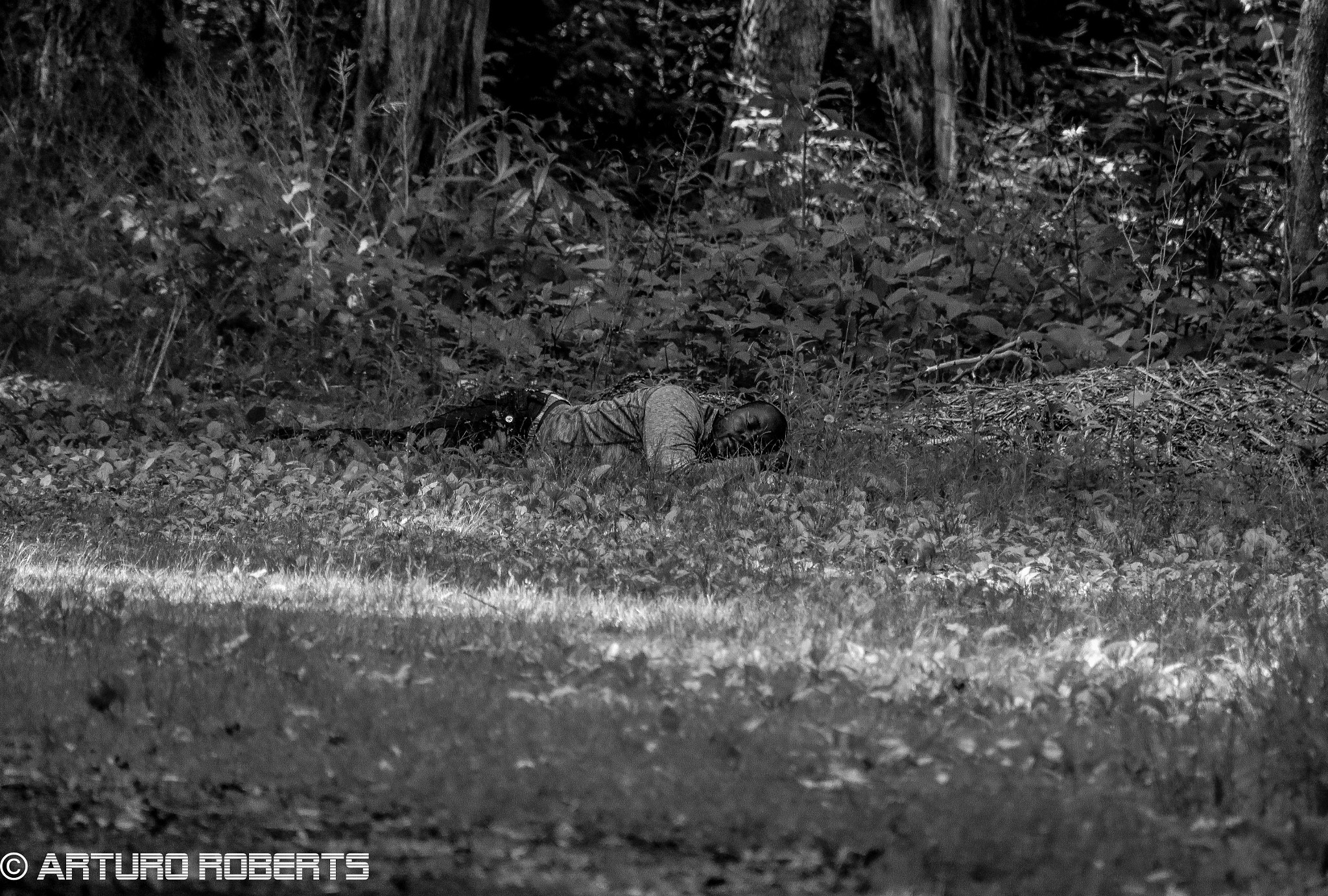 Nikon D5500 sample photo. Sleeping photography