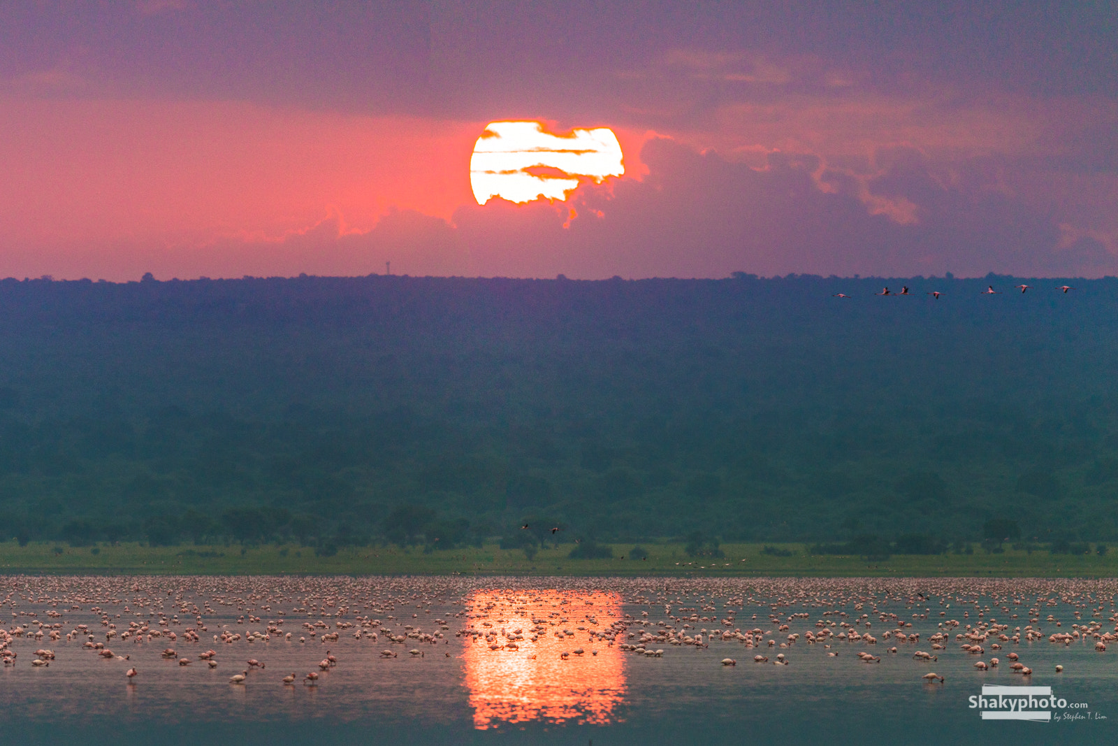 Canon EF 200-400mm F4L IS USM Extender 1.4x sample photo. African sunrise photography