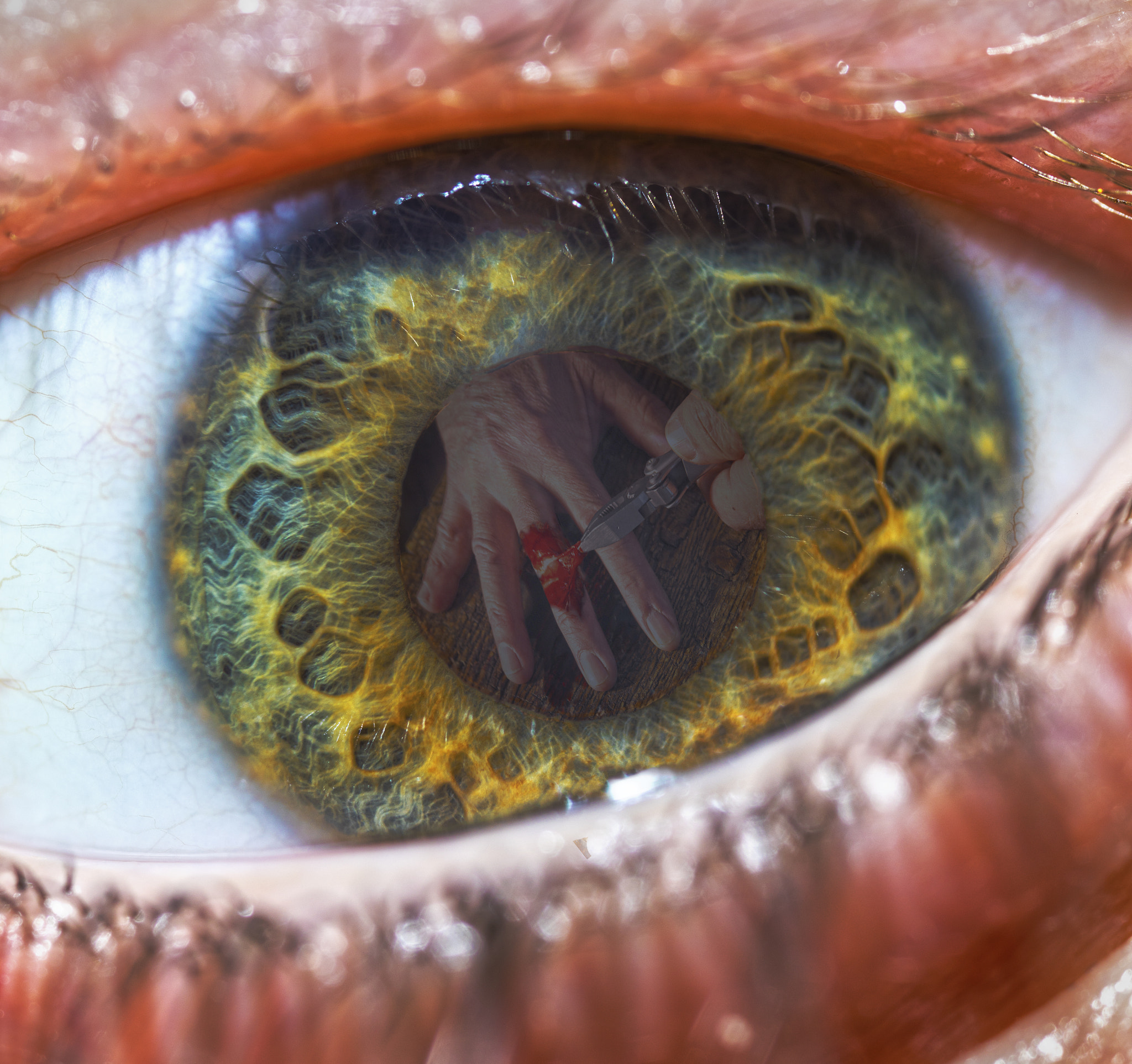 Canon MP-E 65mm F2.5 1-5x Macro Photo sample photo. No secrets left to tell photography