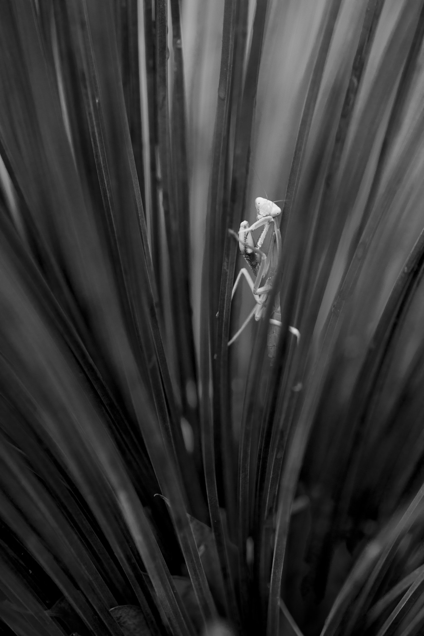 Nikon D810 sample photo. Unseen beauty of western australia photography