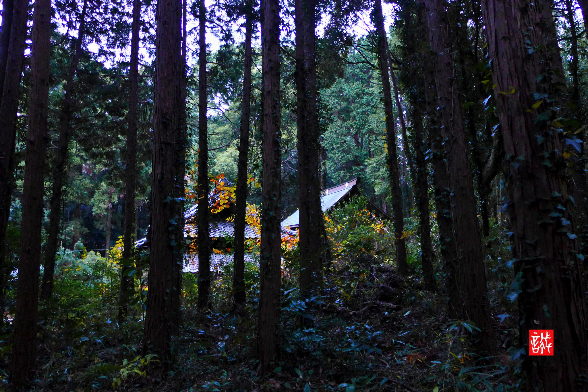 Leica D-Lux 6 sample photo. Temple 1215 photography