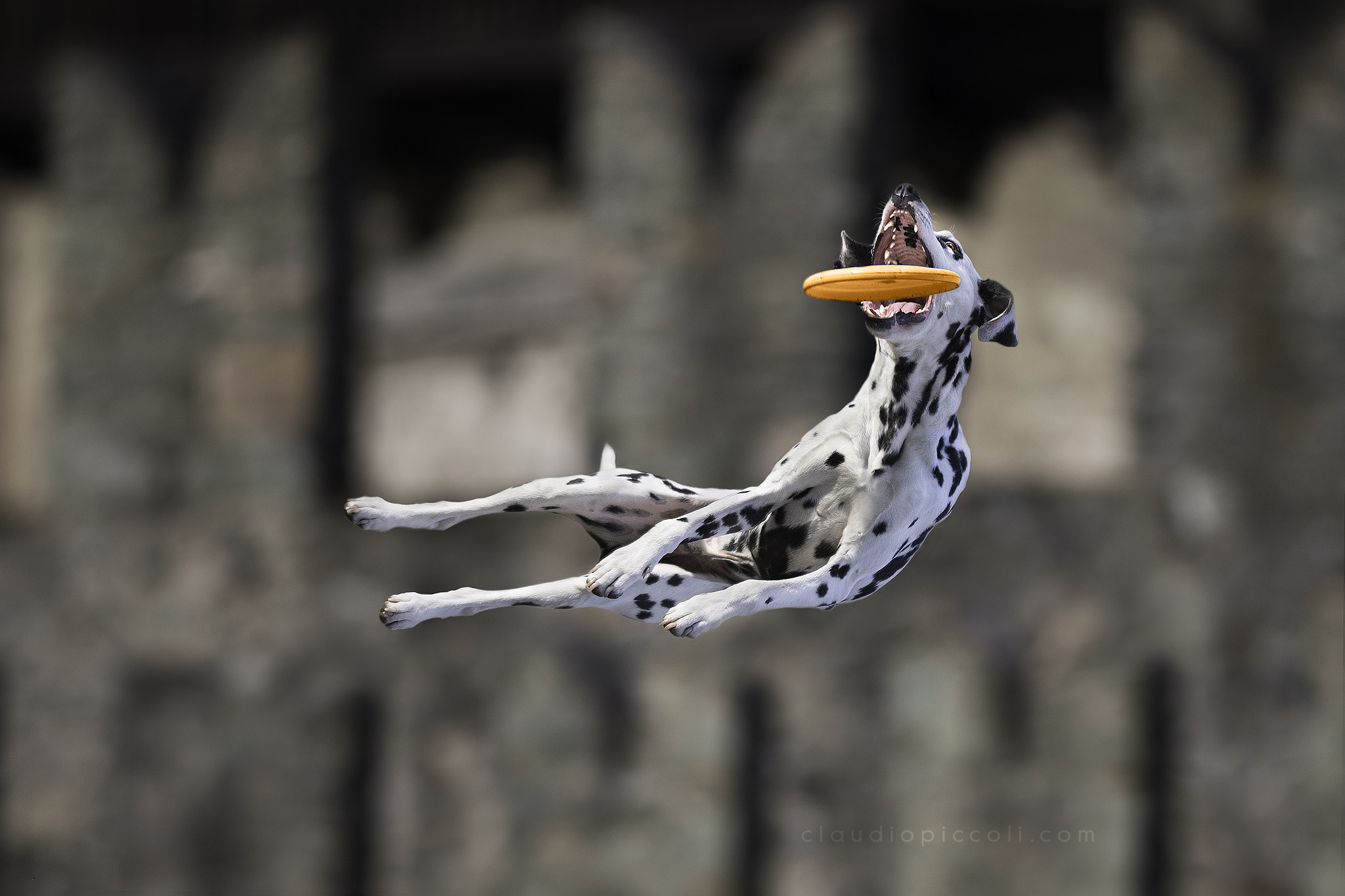 Nikon AF-S Nikkor 300mm F2.8G ED-IF VR sample photo. Coming back to medieval atmosphere photography