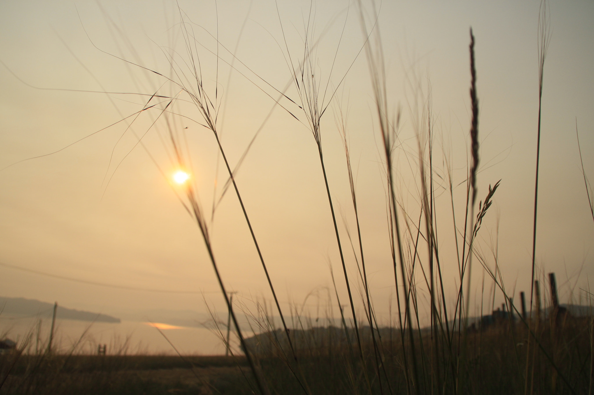 Canon EOS 500D (EOS Rebel T1i / EOS Kiss X3) + Tamron AF 18-200mm F3.5-6.3 XR Di II LD Aspherical (IF) Macro sample photo. 清晨的贝加尔 photography