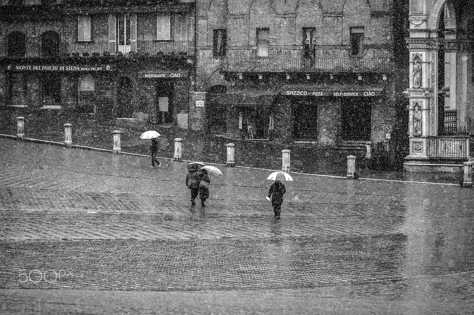 Nikon AF-S Micro-Nikkor 105mm F2.8G IF-ED VR sample photo. Wintry siena photography