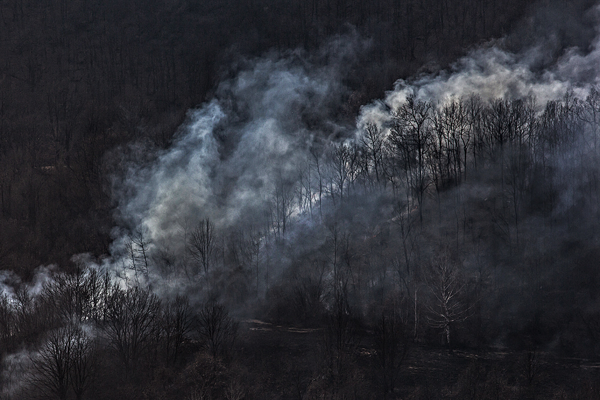 Canon EOS 60D + Canon EF-S 55-250mm F4-5.6 IS STM sample photo. Spring fires (3) photography
