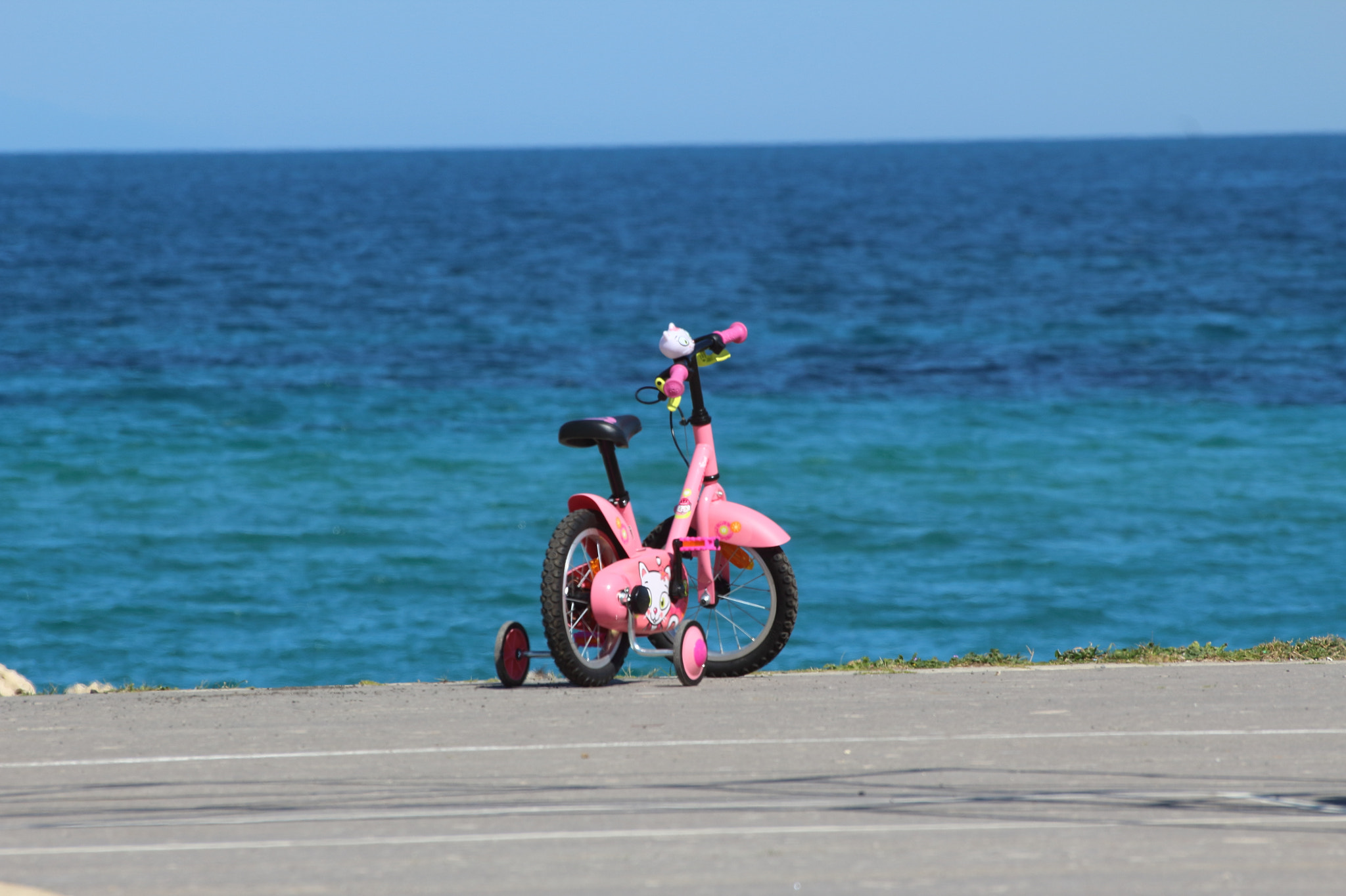 Canon EOS 1300D (EOS Rebel T6 / EOS Kiss X80) sample photo. Summer photography