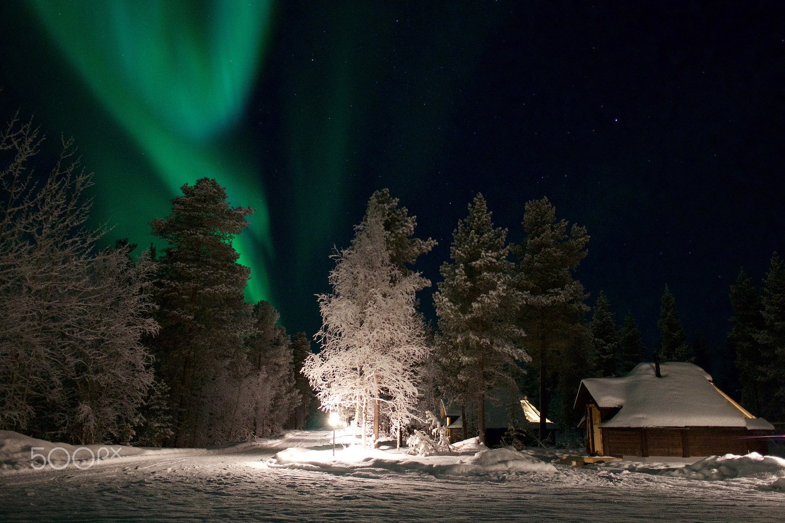 Sigma 19mm F2.8 EX DN sample photo. Green flame and cabin photography