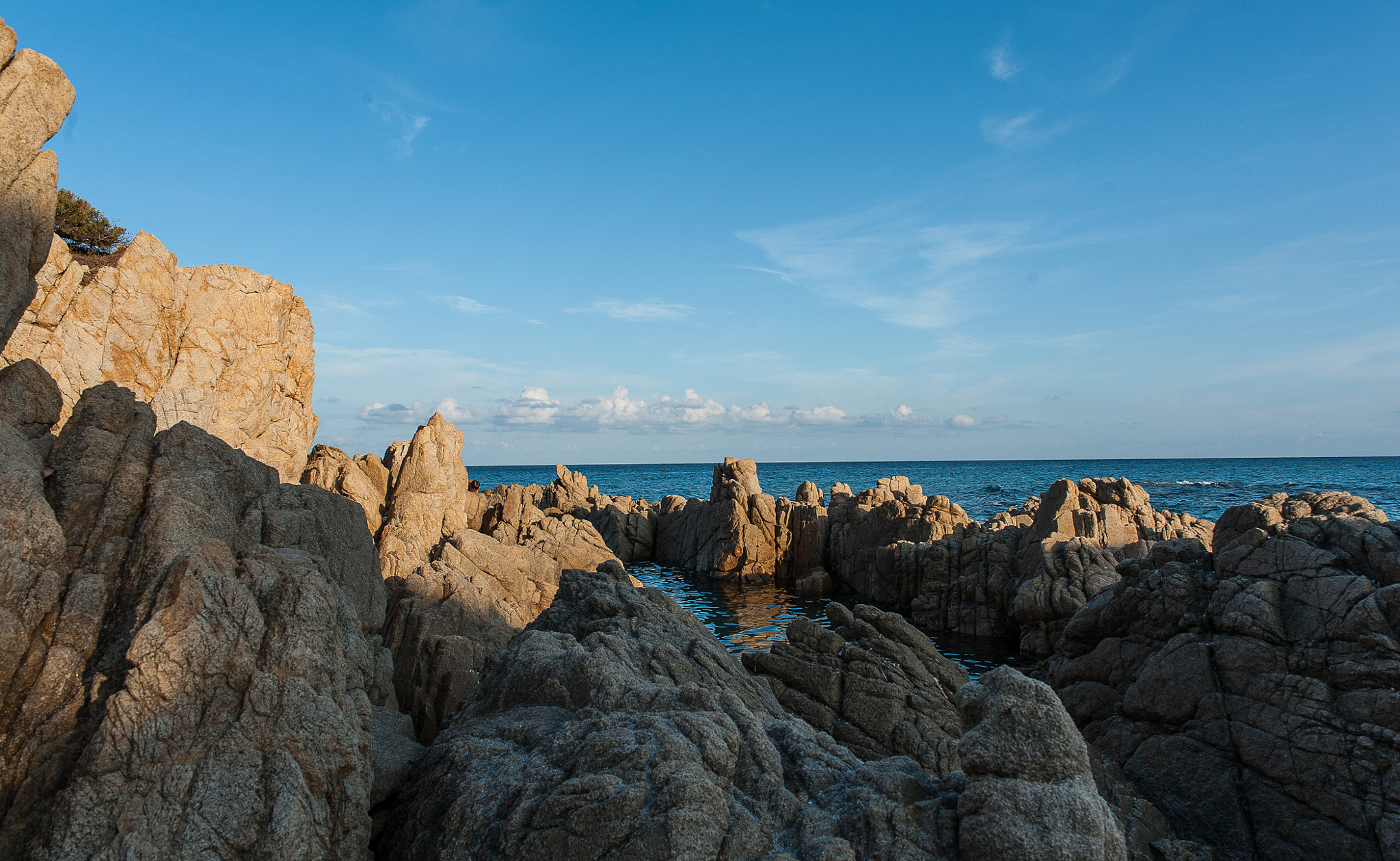 Sigma 24-70mm F2.8 EX DG HSM sample photo. Fa o photography