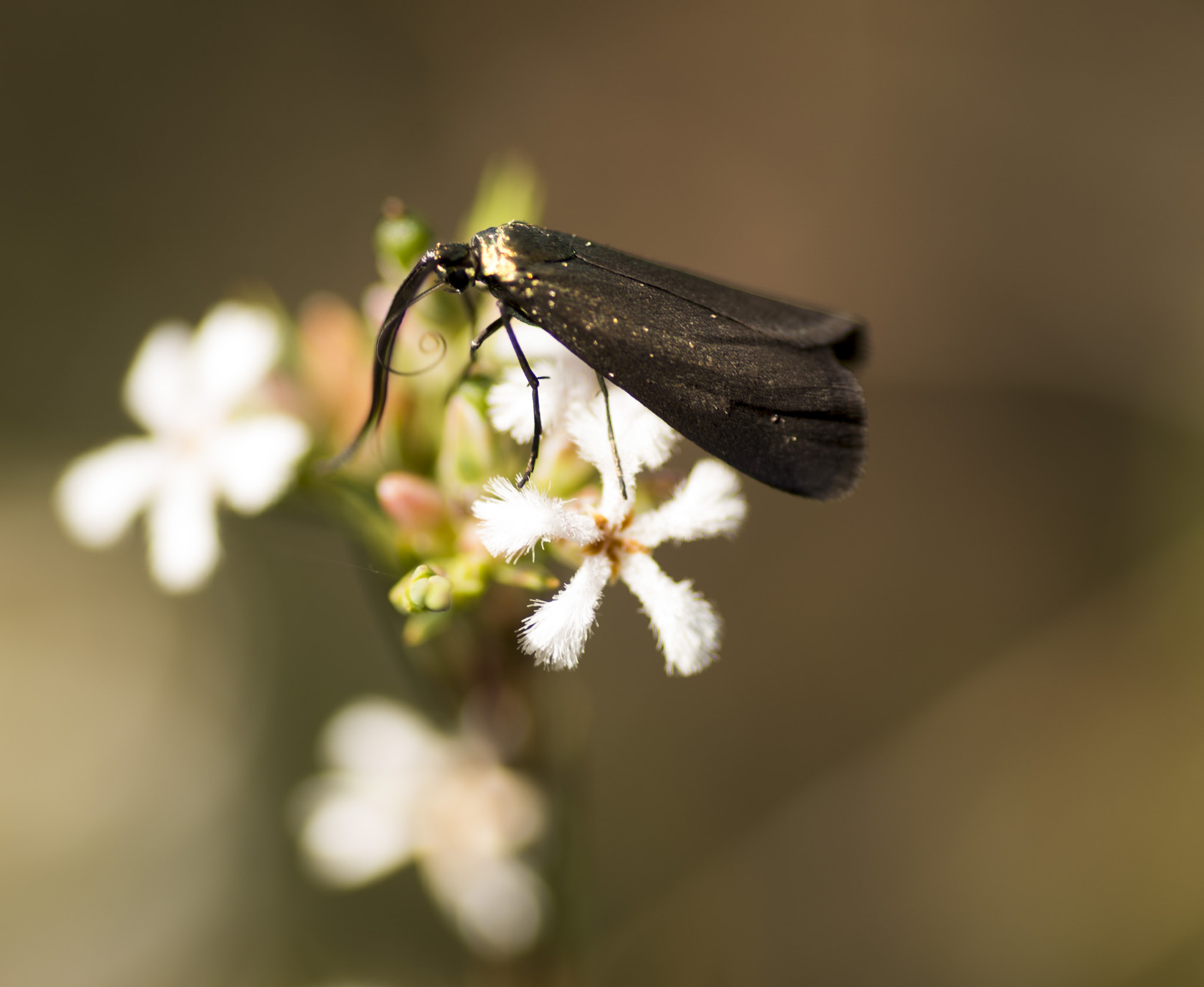Nikon D810 sample photo. Unseen beauty of western australia photography