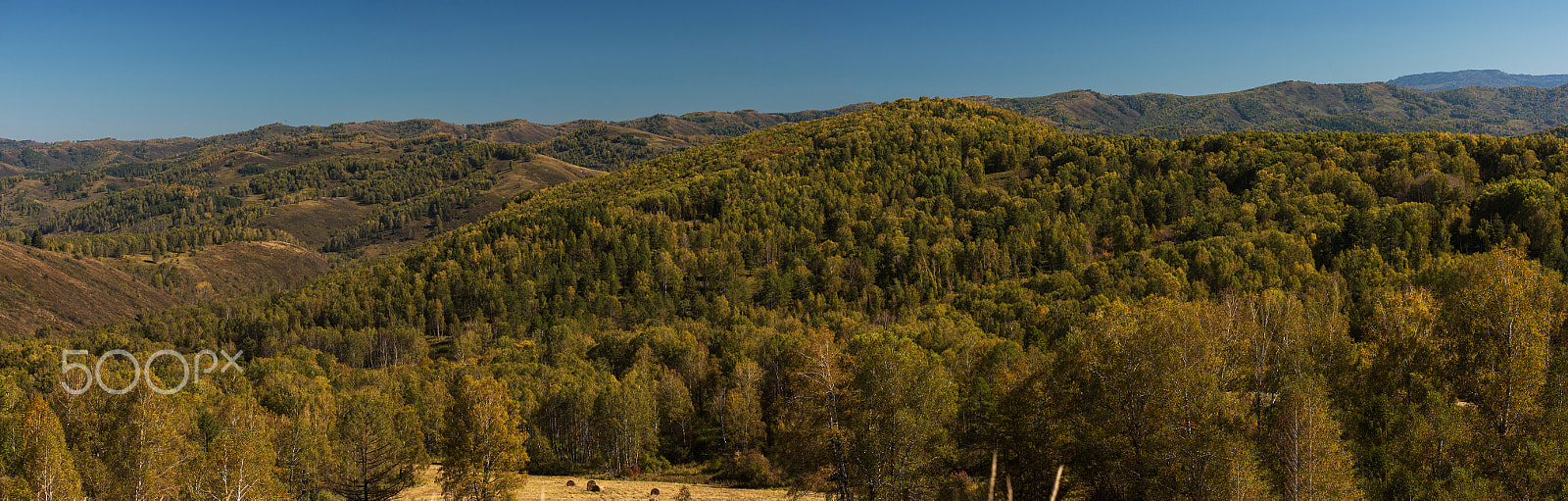 Nikon AF-Nikkor 80-200mm F2.8D ED sample photo. Beauty day in the mountains photography