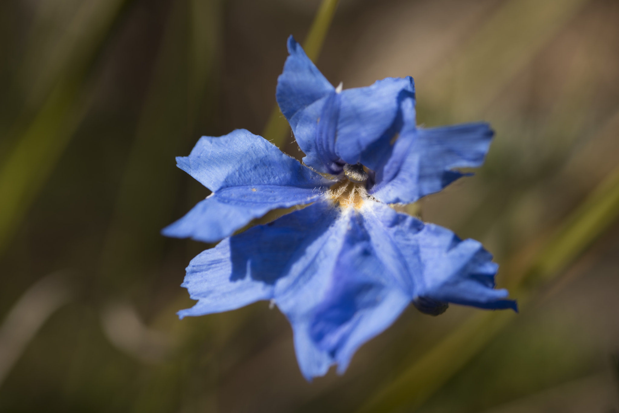 Nikon D810 sample photo. Unseen beauty of western australia photography