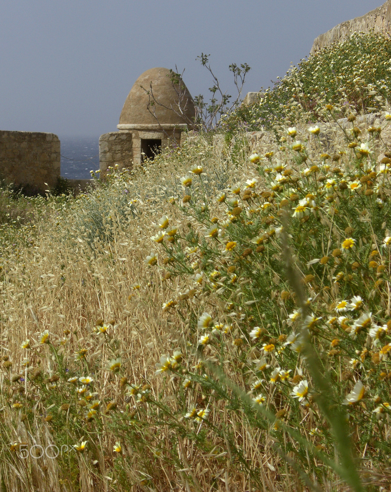 CASIO EX-Z1200 sample photo. Everyday life at the island crete in greece photography