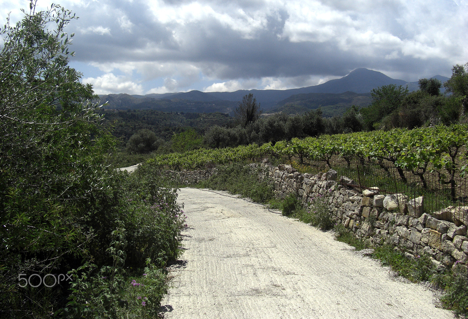 CASIO EX-Z1200 sample photo. Everyday life at the island crete in greece photography