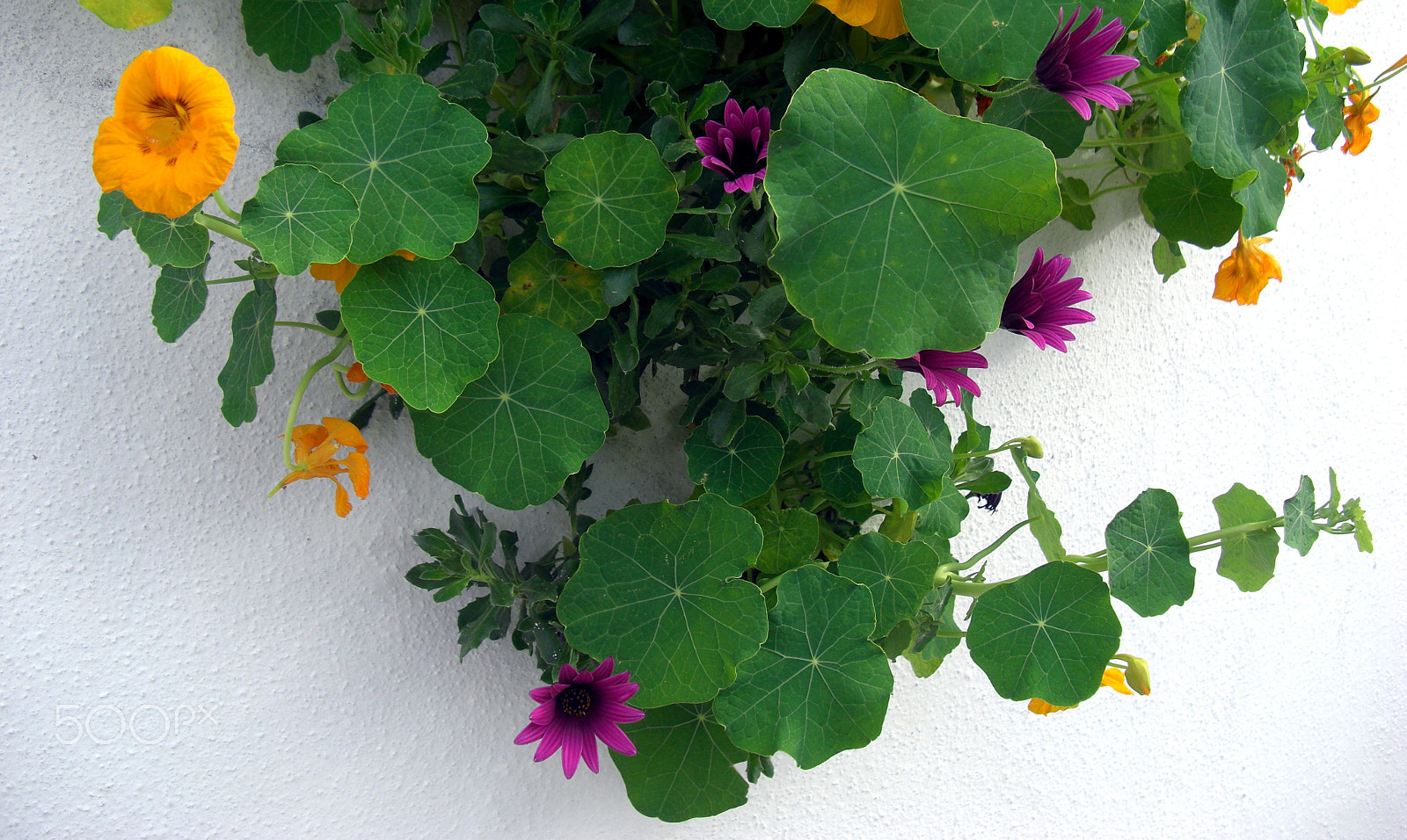 CASIO EX-Z1200 sample photo. Everyday life at the island crete in greece photography