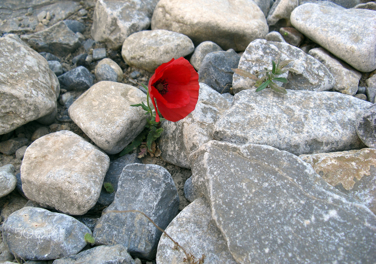 CASIO EX-Z1200 sample photo. Everyday life at the island crete in greece photography