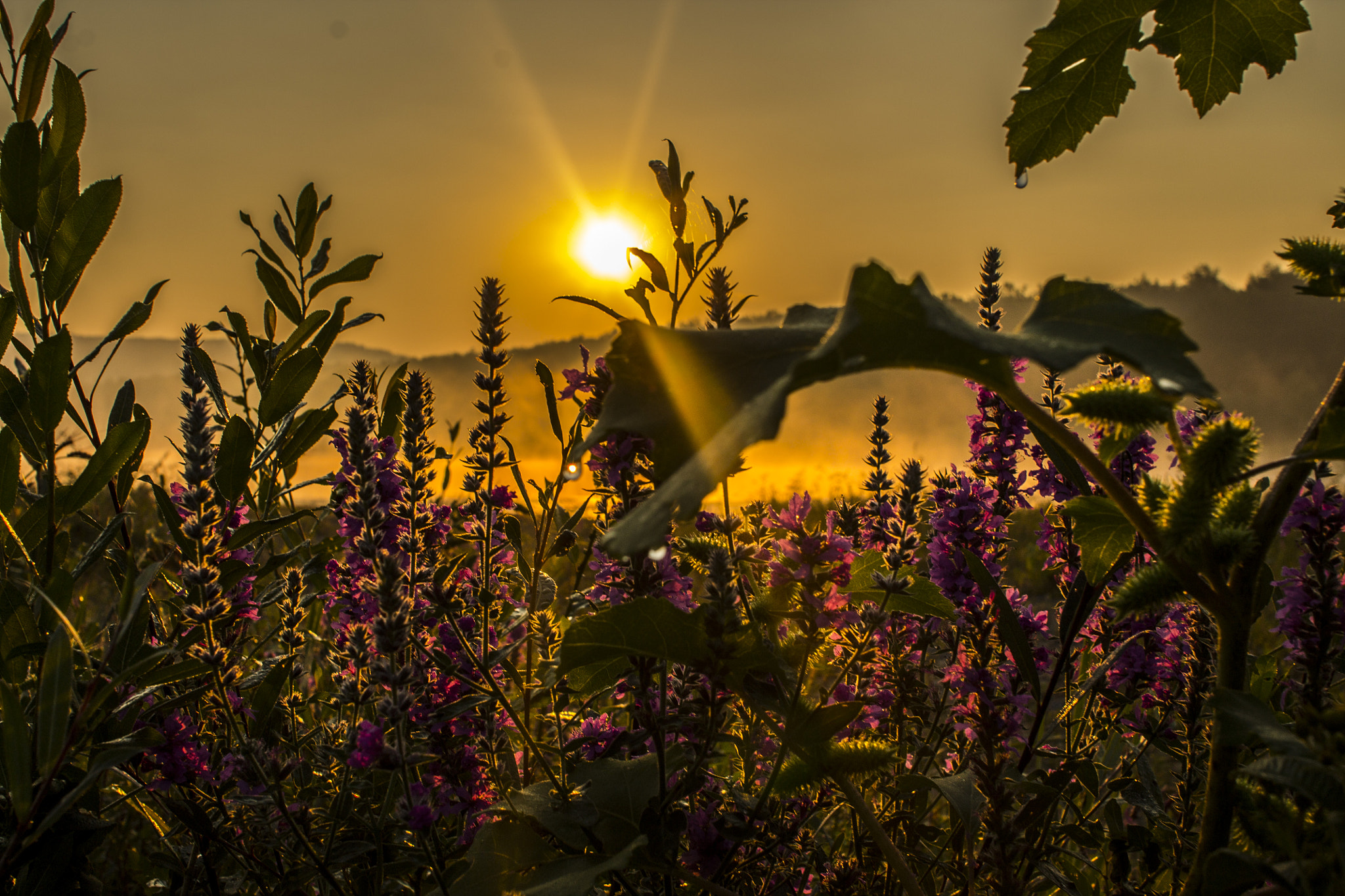 Canon EOS 1100D (EOS Rebel T3 / EOS Kiss X50) + Canon EF 28mm F2.8 IS USM sample photo. Sunrise at ognianovo photography