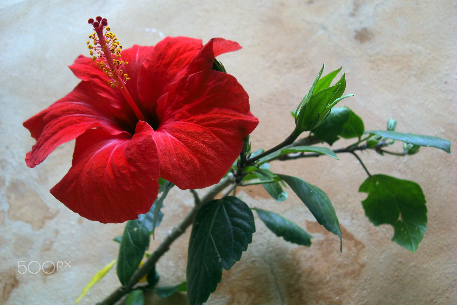 CASIO EX-Z1200 sample photo. A scene from the island crete in greece photography