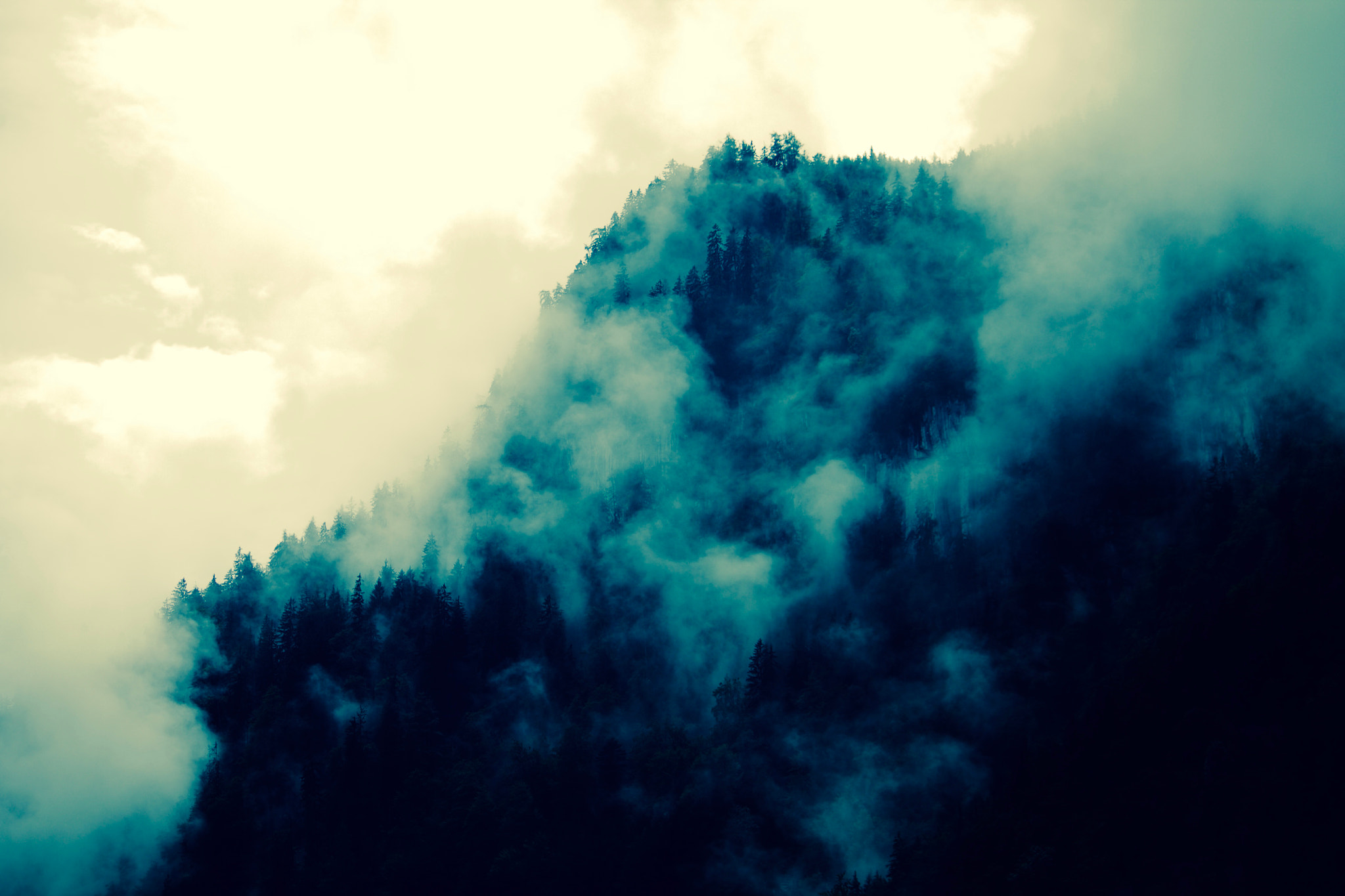 Canon EF-S 55-250mm F4-5.6 IS sample photo. Misty forest photography
