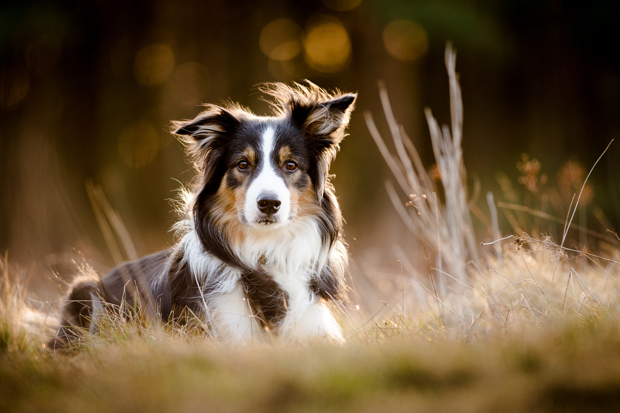 Nikon D800 + Nikon AF-S Nikkor 300mm F4D ED-IF sample photo. #prostebuchta photography