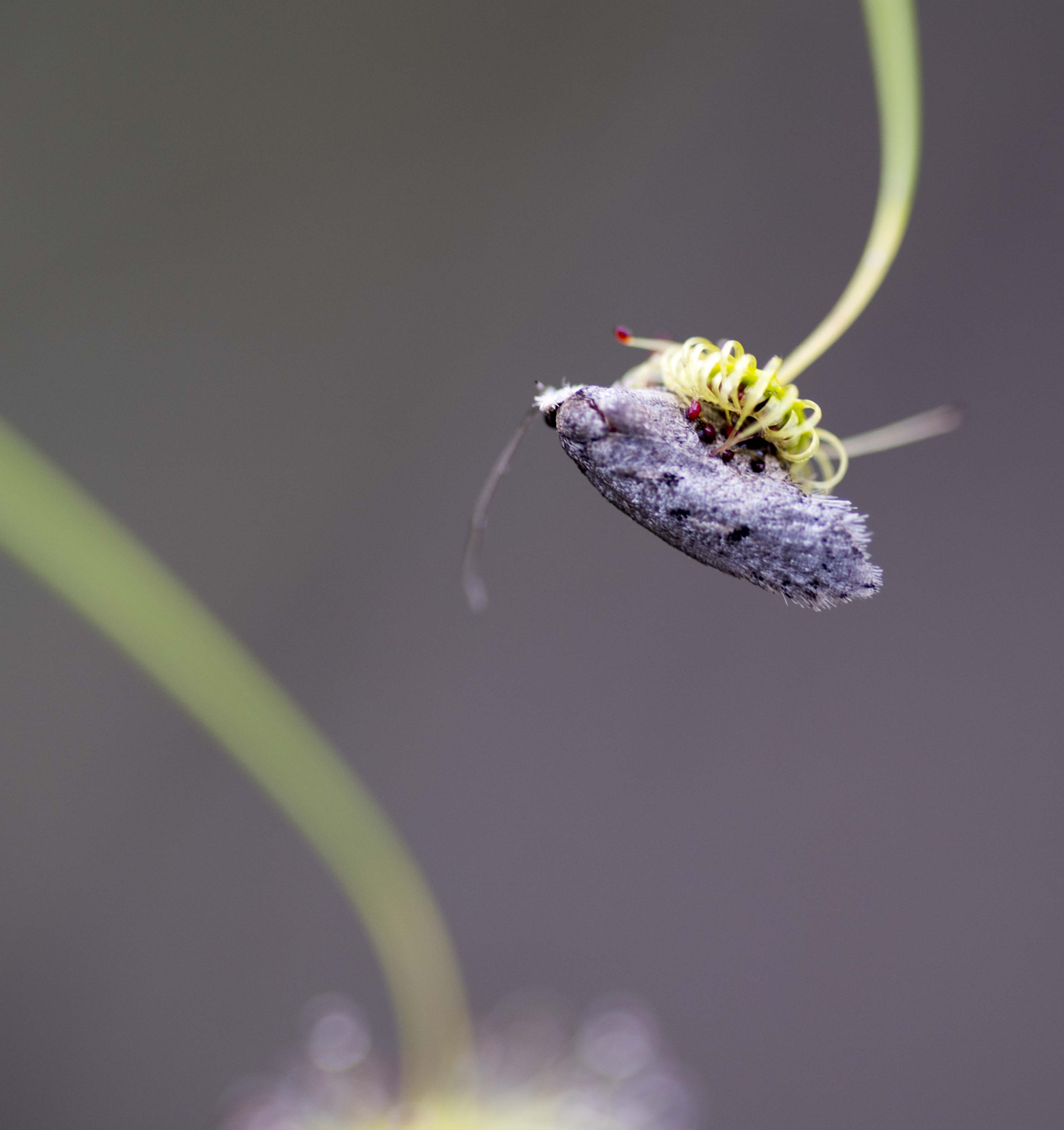 Nikon D810 sample photo. Unseen beauty of western australia photography