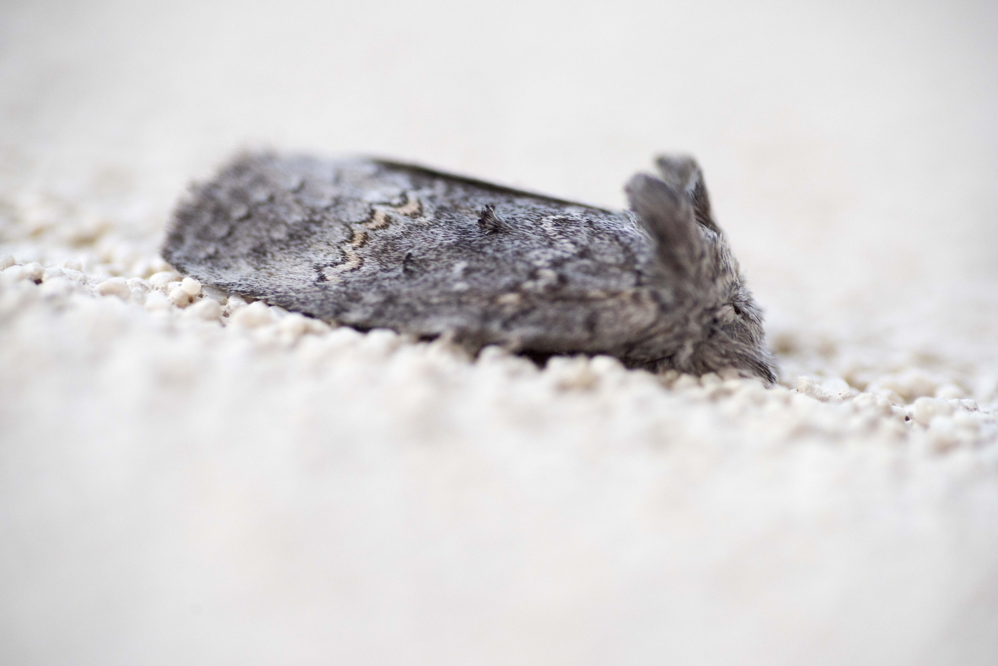 Nikon D810 sample photo. Unseen beauty of western australia photography