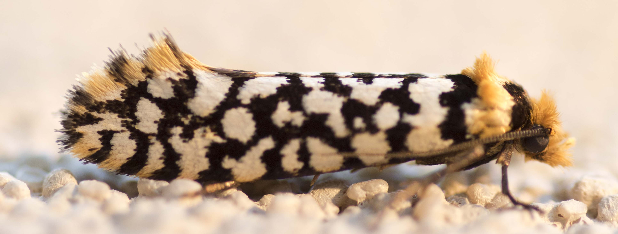 Nikon D810 sample photo. Unseen beauty of western australia photography