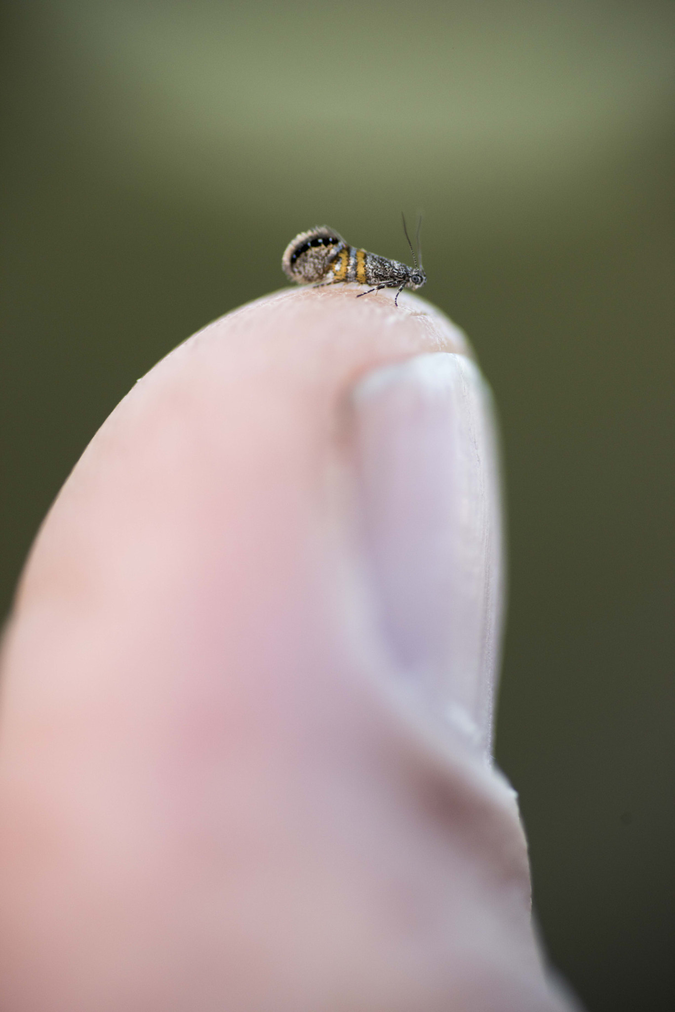 Nikon D810 sample photo. Unseen beauty of western australia photography