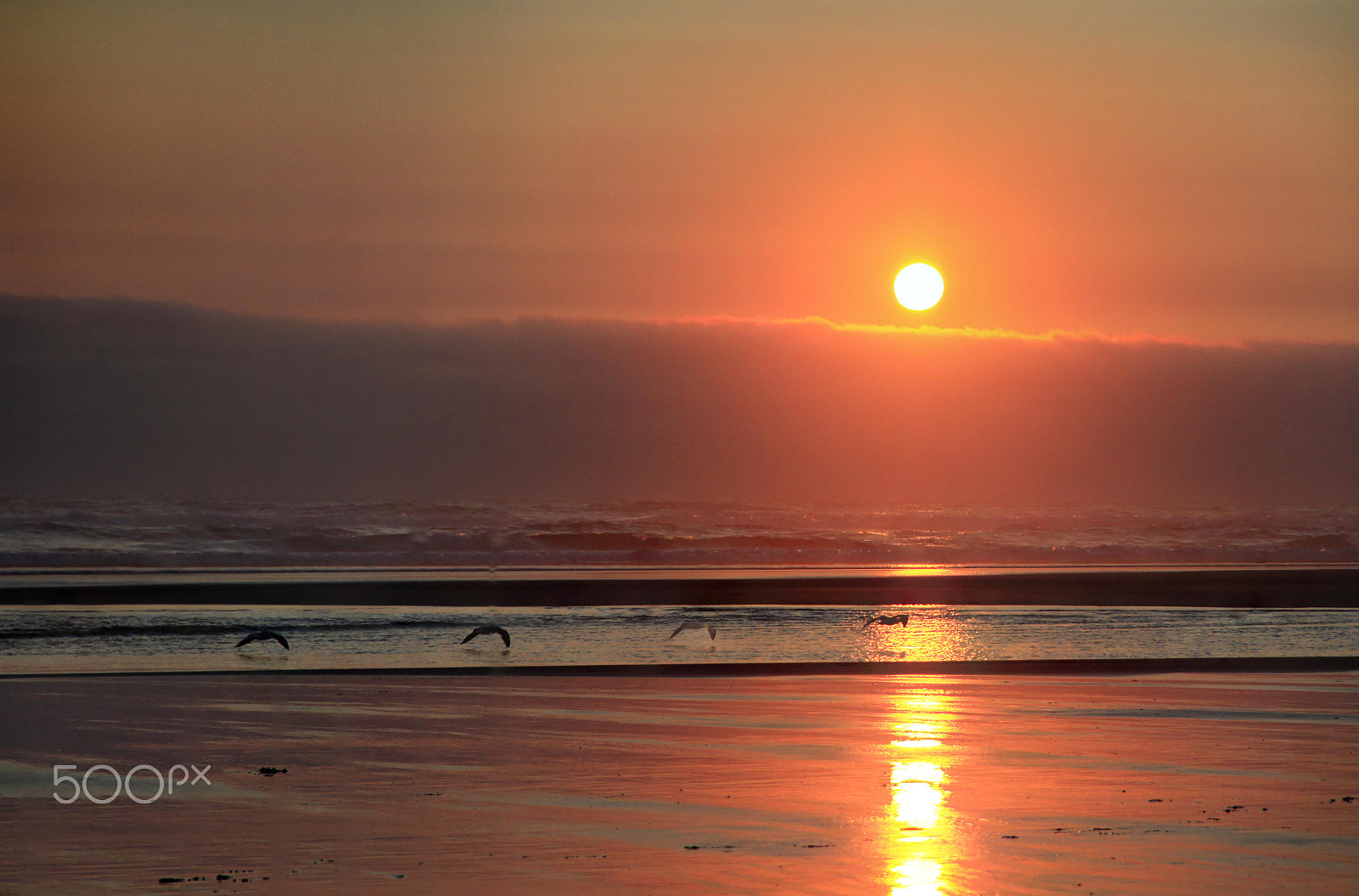 Canon EOS 50D sample photo. Stacked sunset photography