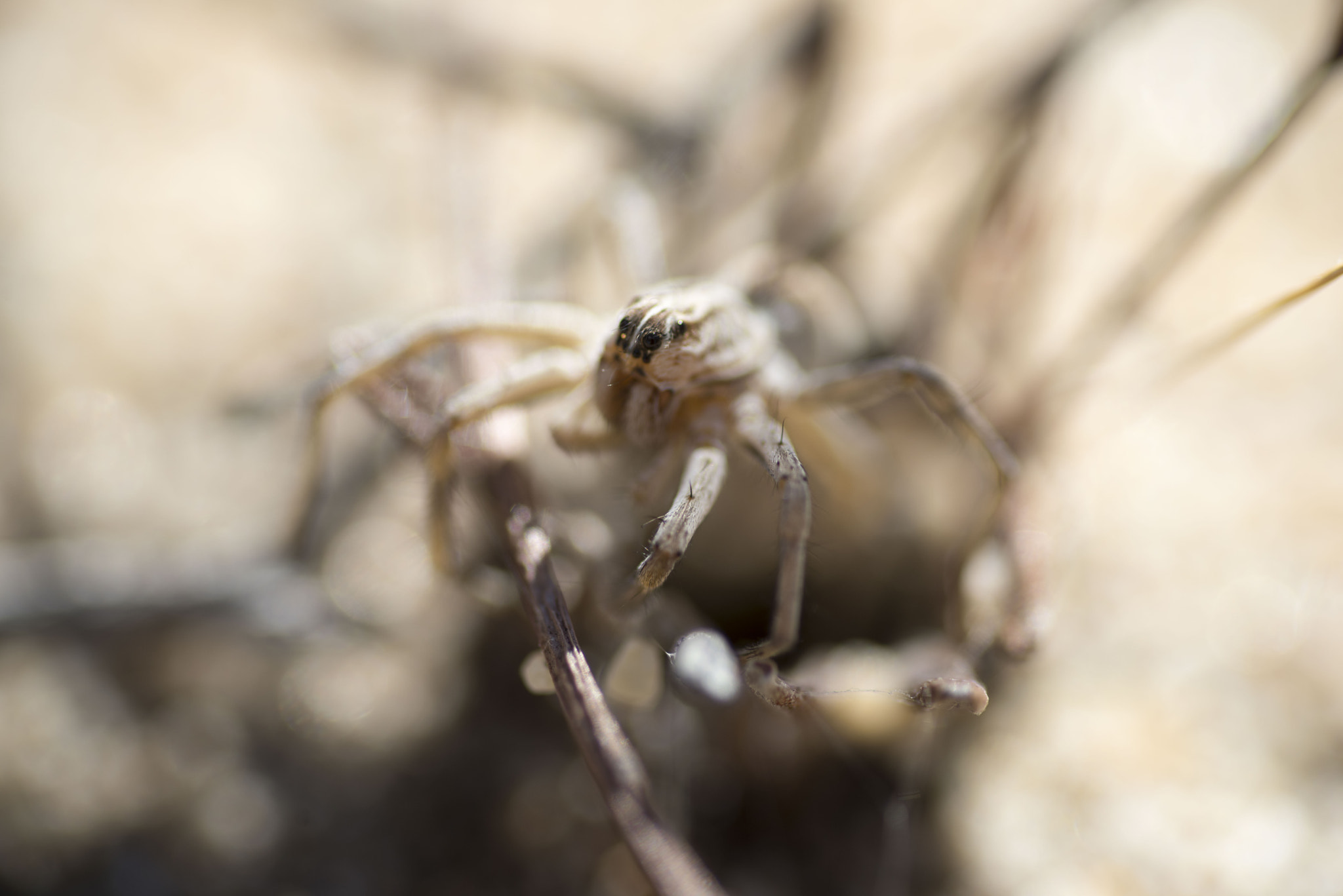 Nikon D810 sample photo. Unseen beauty of western australia photography
