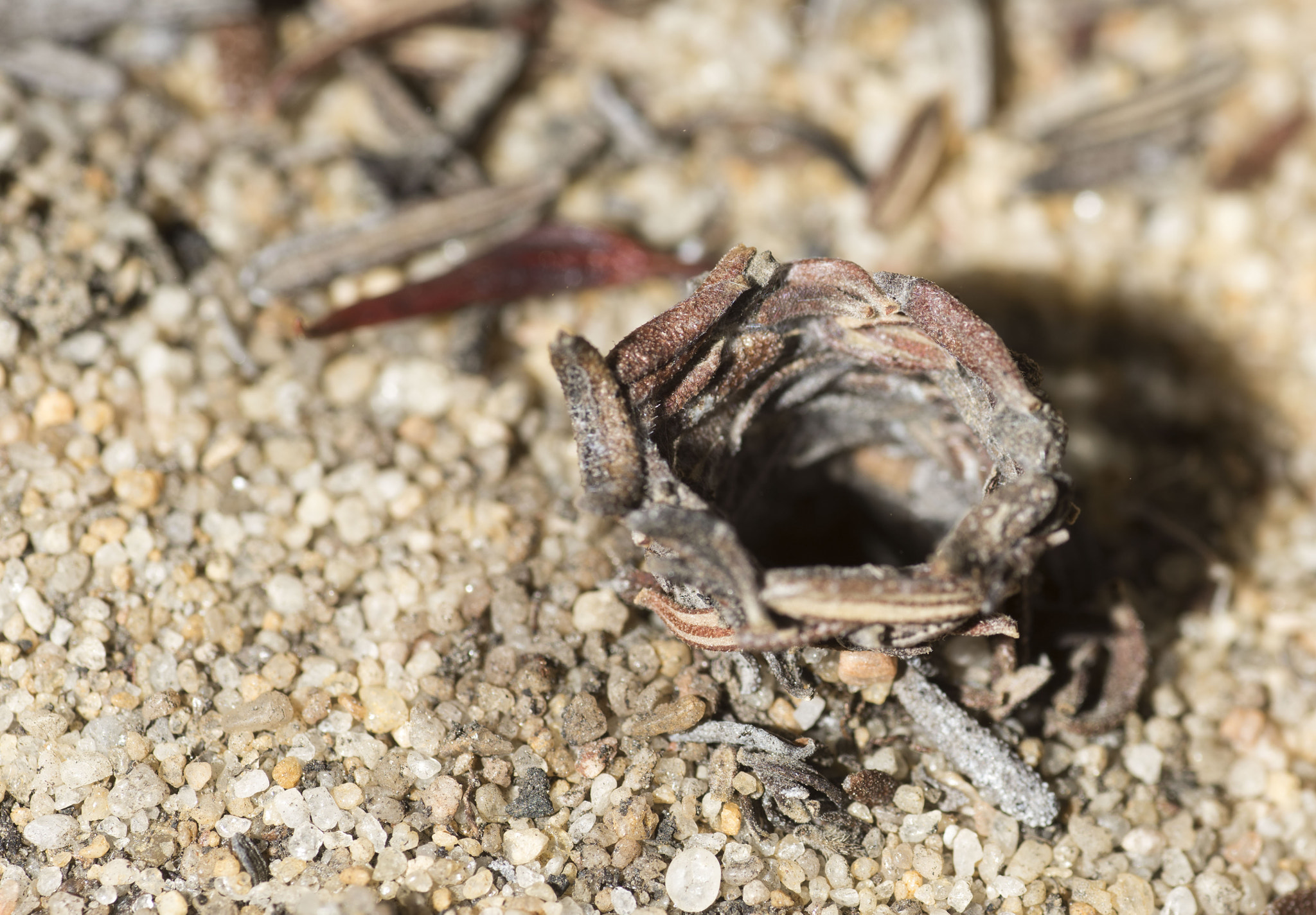 Nikon D810 sample photo. Unseen beauty of western australia photography