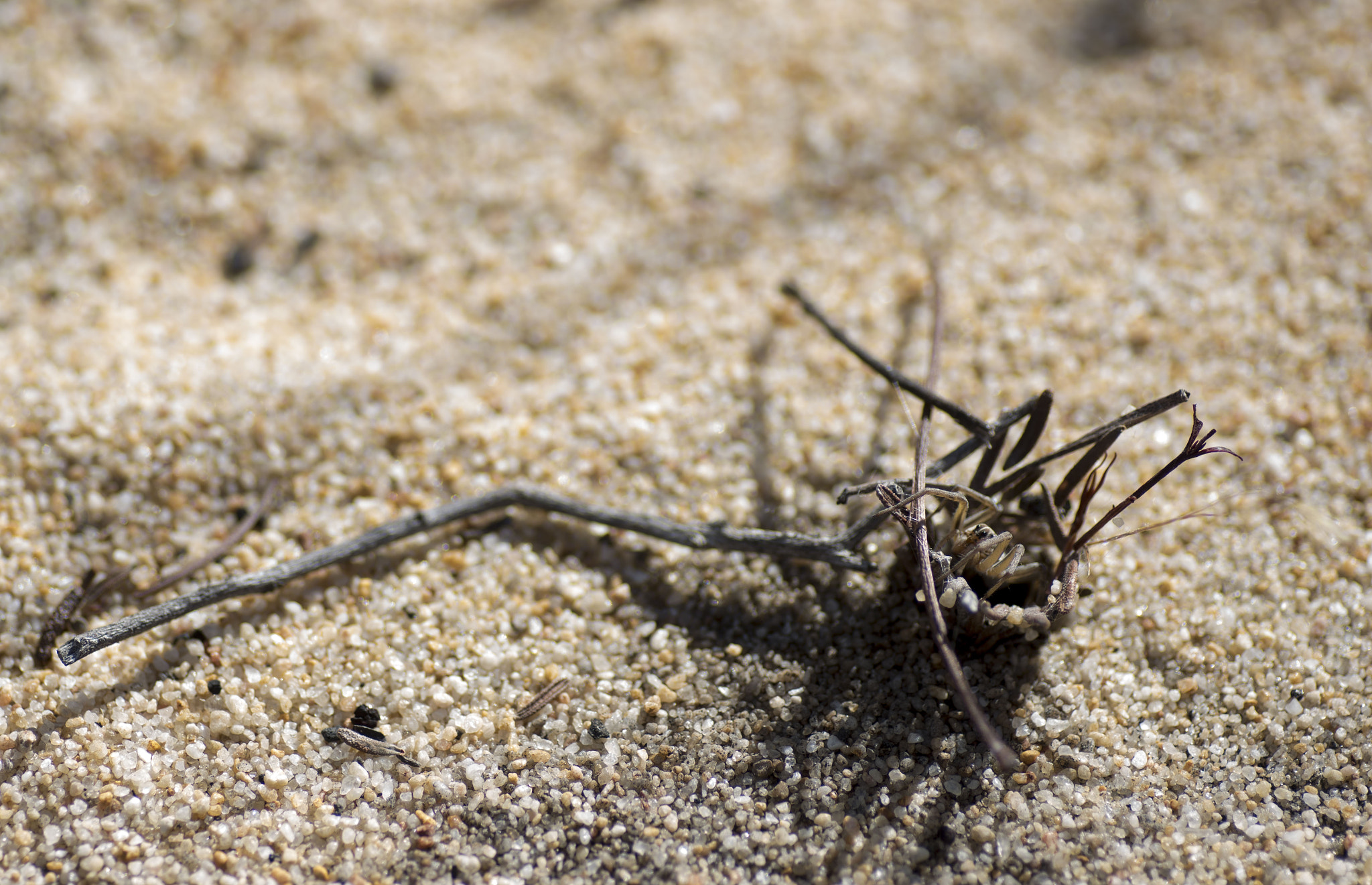 Nikon D810 sample photo. Unseen beauty of western australia photography