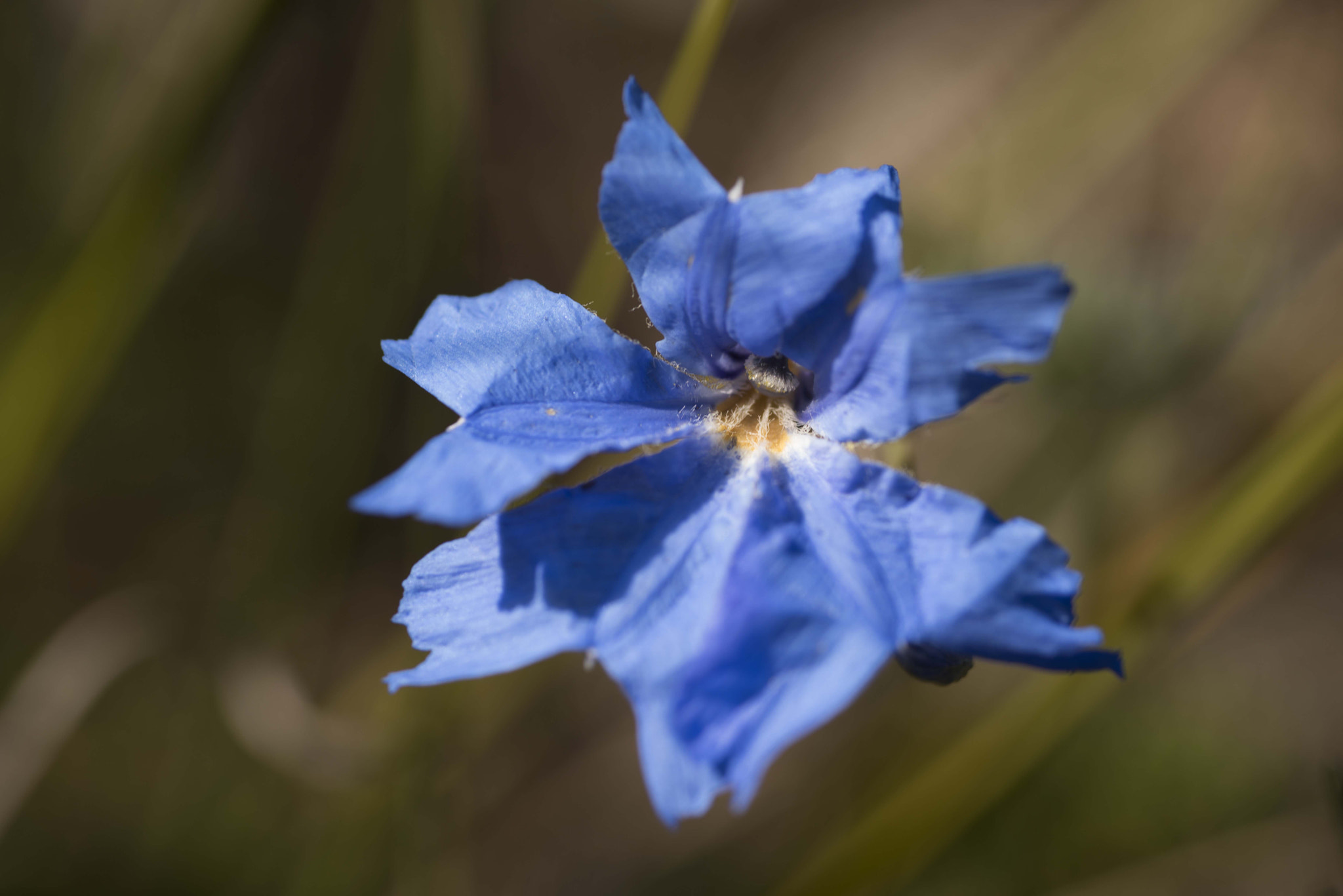 Nikon D810 sample photo. Unseen beauty of western australia photography