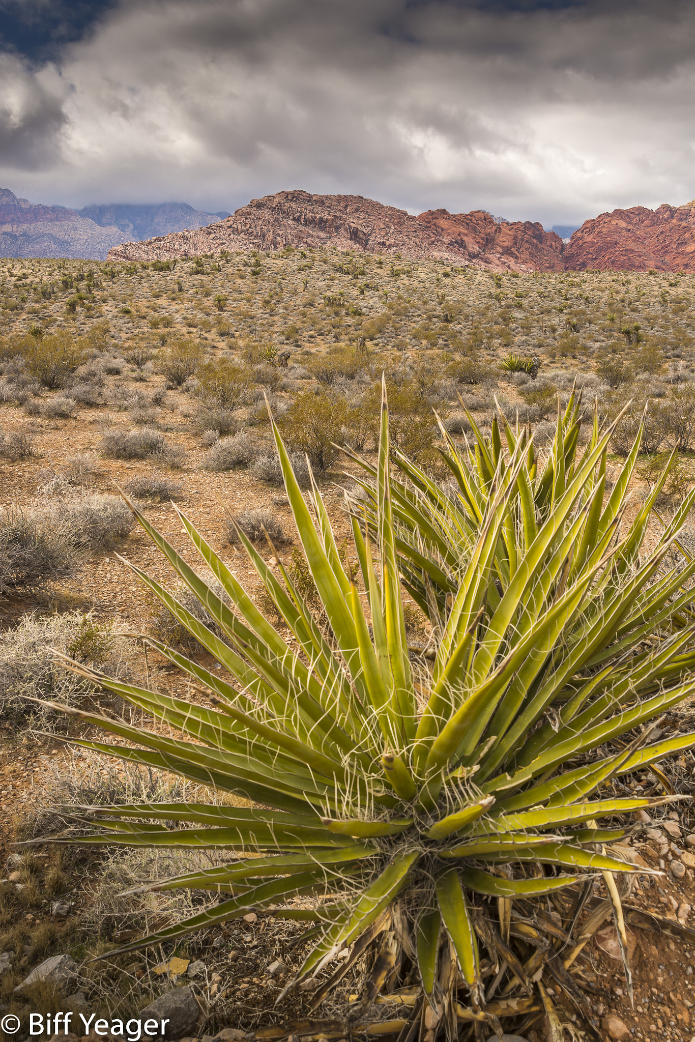 Nikon AF Nikkor 24-85mm F2.8-4D IF sample photo. Red rock canyon photography