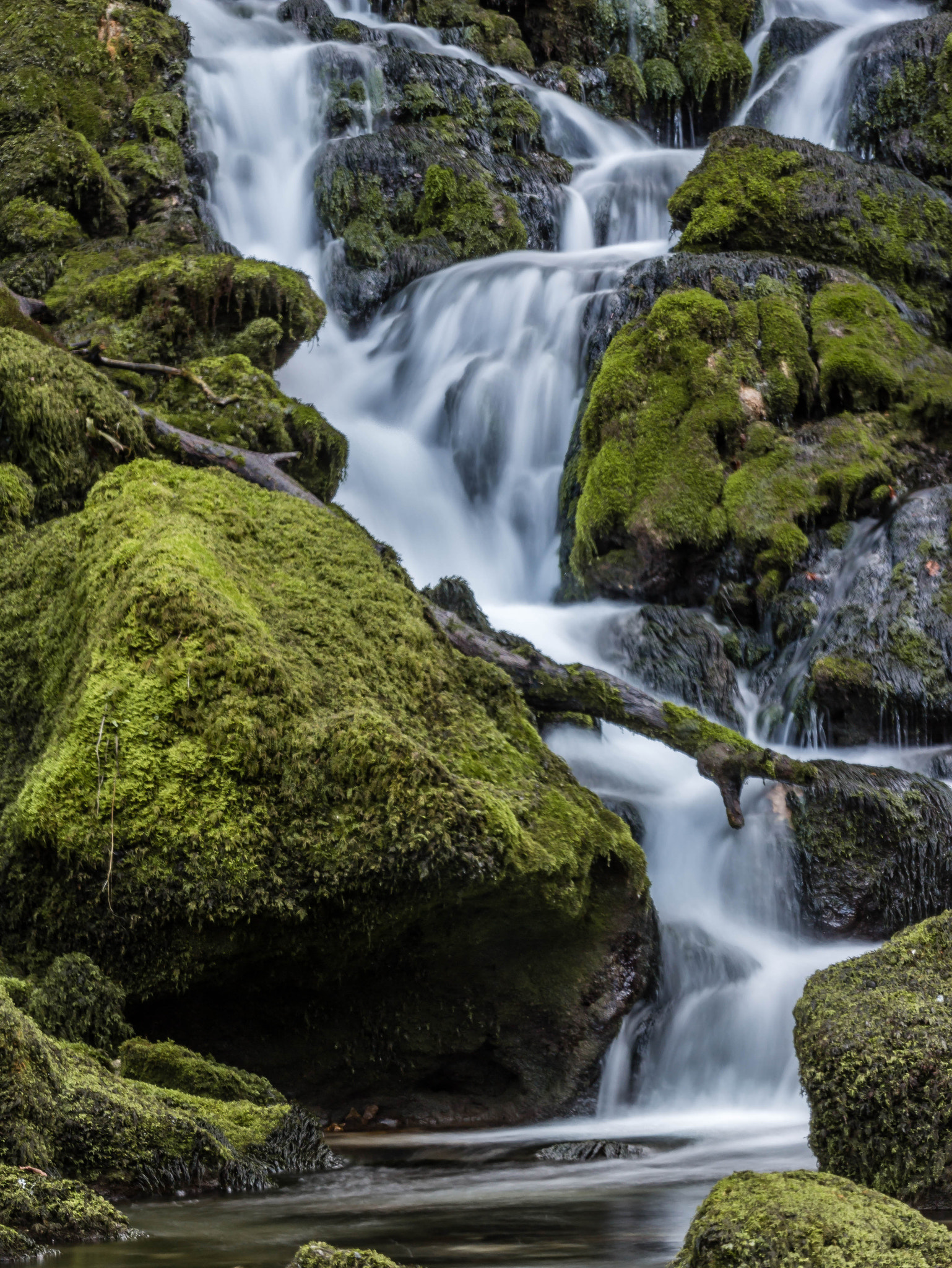Sigma 105mm F2.8 EX DG OS HSM sample photo. Little torrent in the heart of the forest photography