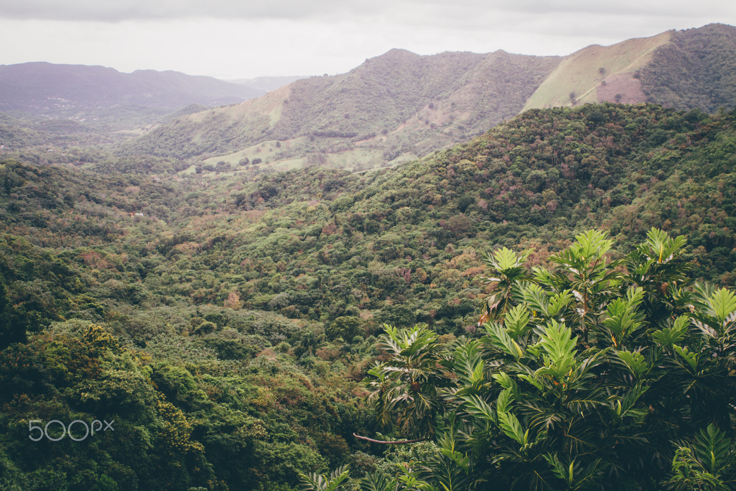 Canon EOS 7D + Canon EF 24-70mm F2.8L USM sample photo. Adjuntas photography
