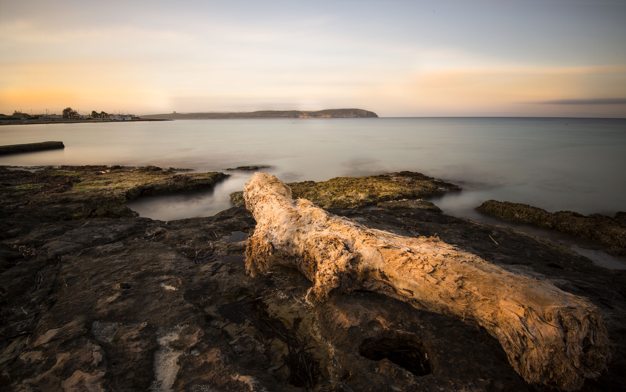 Nikon AF-S Nikkor 16-35mm F4G ED VR sample photo. Driftwood photography