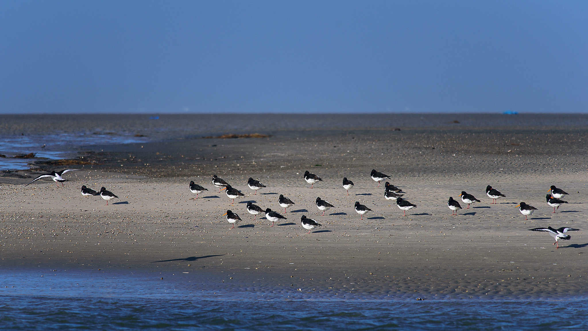 Nikon D750 + Nikon AF-S Nikkor 300mm F4D ED-IF sample photo. Sun spot break photography