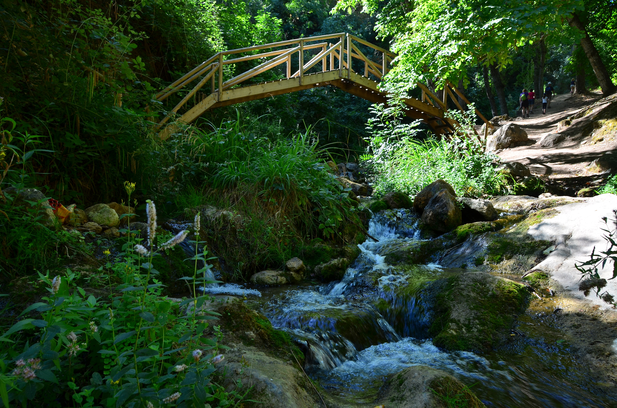 Sigma 18-200mm F3.5-6.3 II DC OS HSM sample photo. Puente madera photography