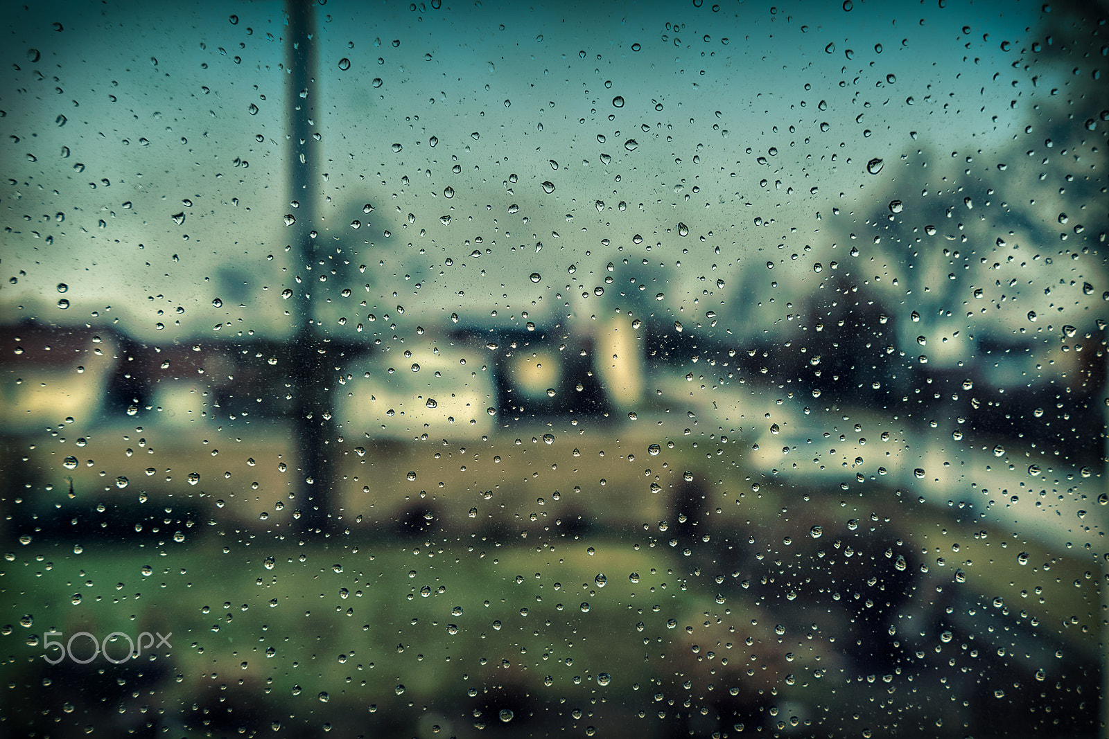 Sony FE 28-70mm F3.5-5.6 OSS sample photo. Raindrops photography