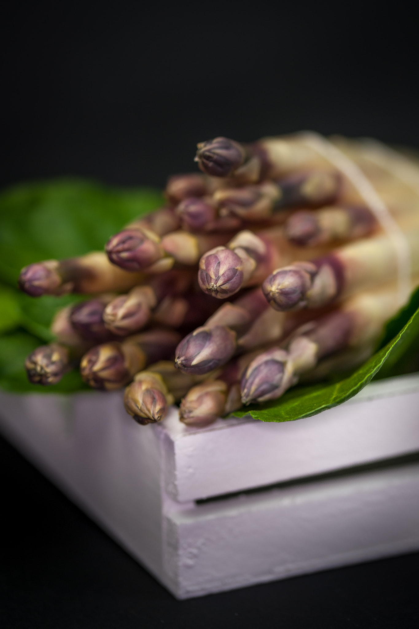 Sigma 105mm F2.8 EX DG OS HSM sample photo. Asperges landaises photography