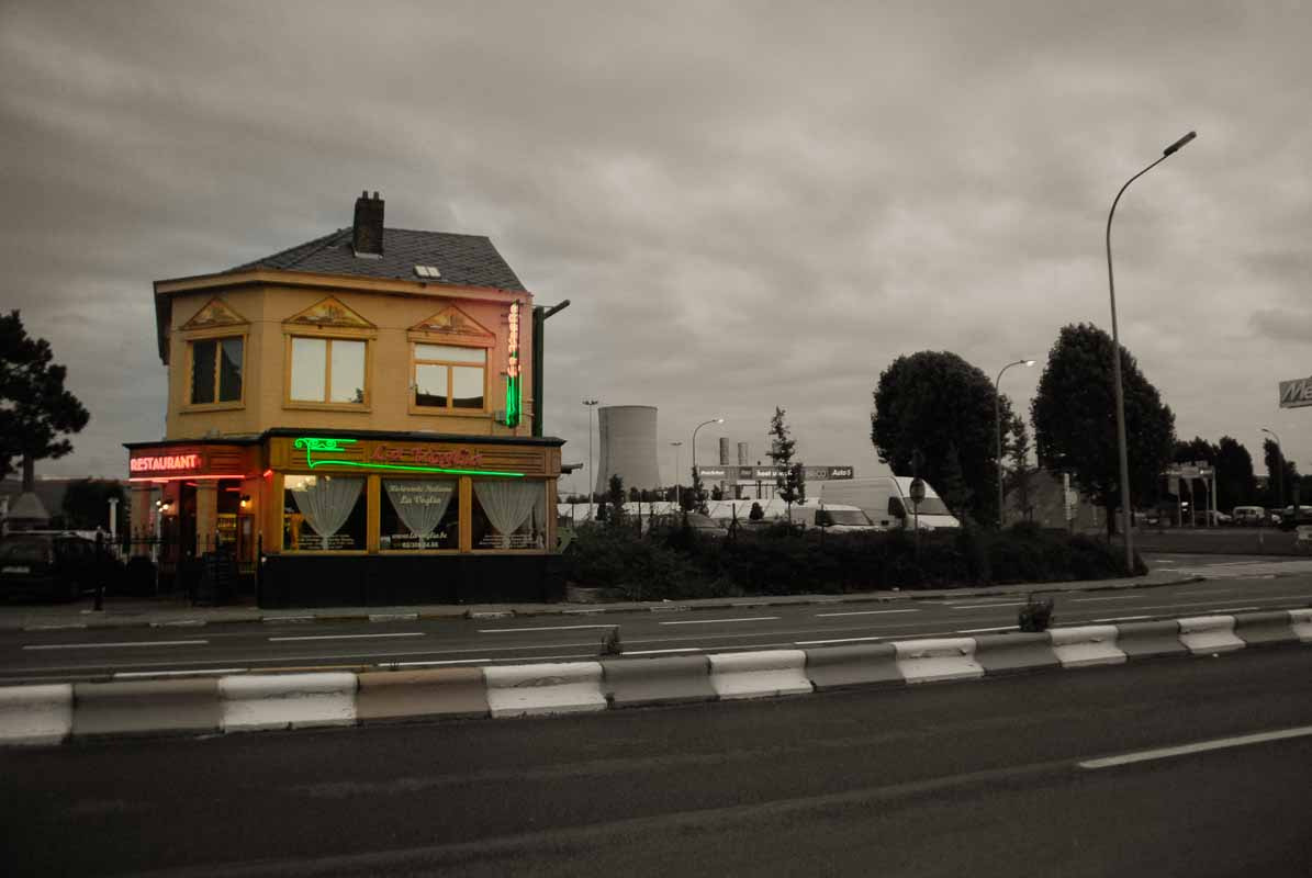 Nikon D80 sample photo. Alleen (sint pieter leeuw) () photography