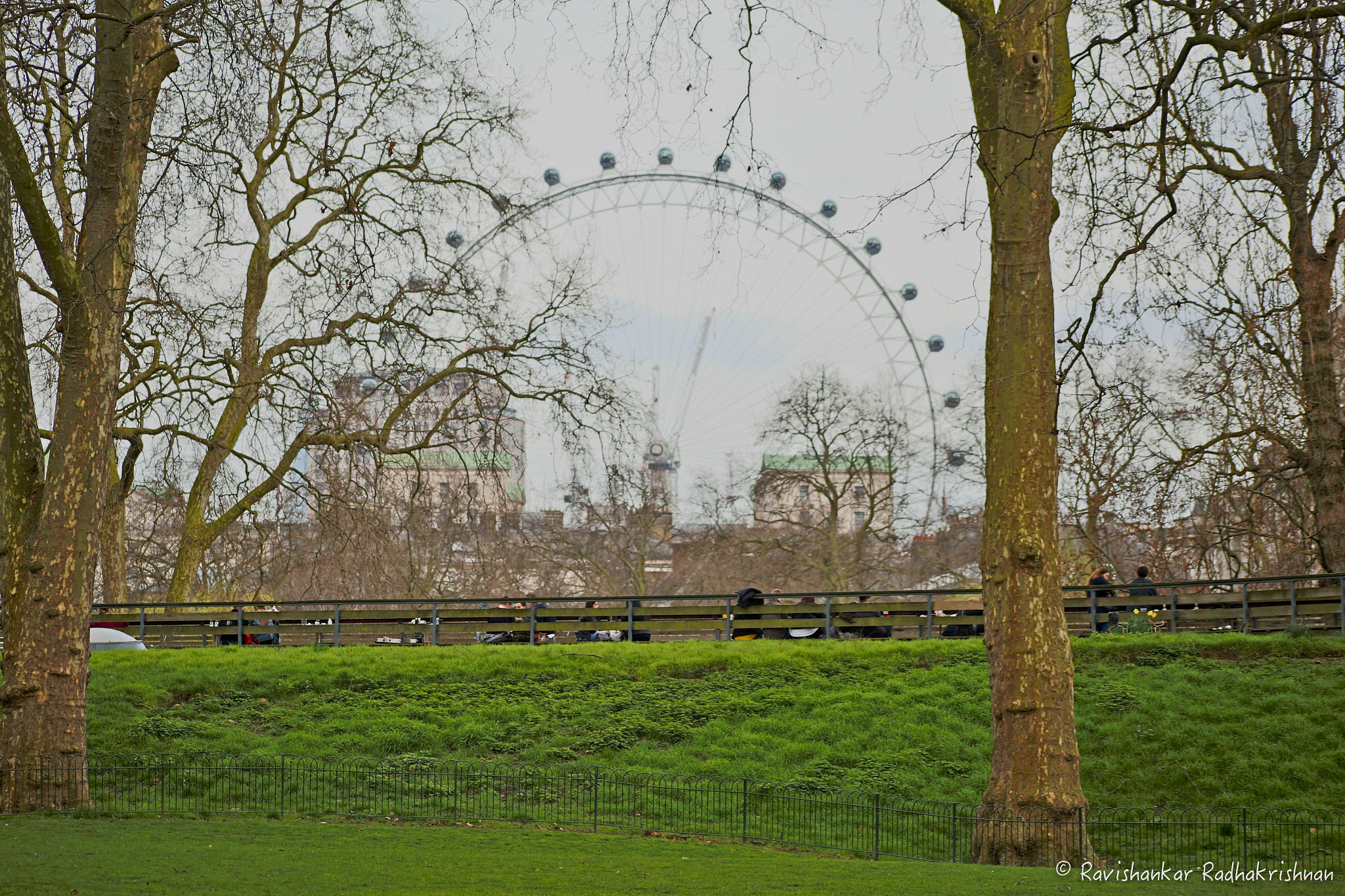 Canon EOS 6D + EF75-300mm f/4-5.6 sample photo. London eye through an eye photography