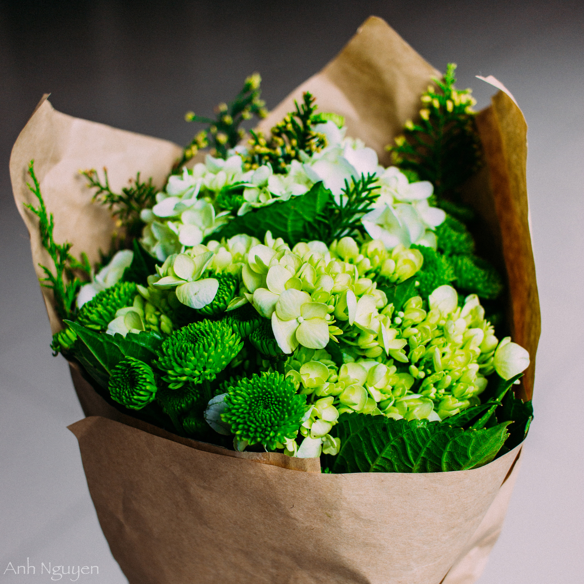 Canon EF-S 24mm F2.8 STM sample photo. Flower photography