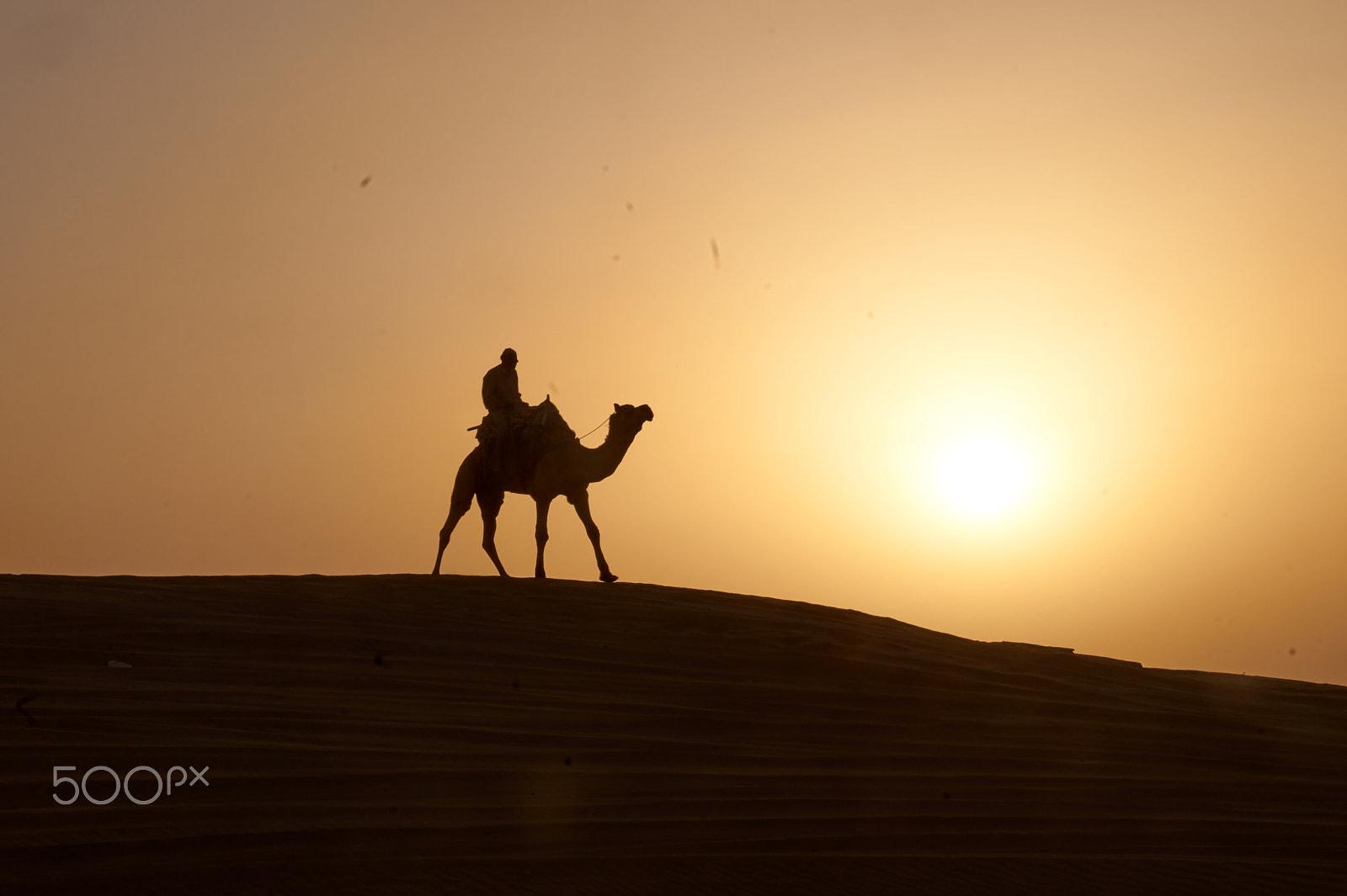 Sony DT 18-135mm F3.5-5.6 SAM sample photo. View from thar desert, jaisalmer photography