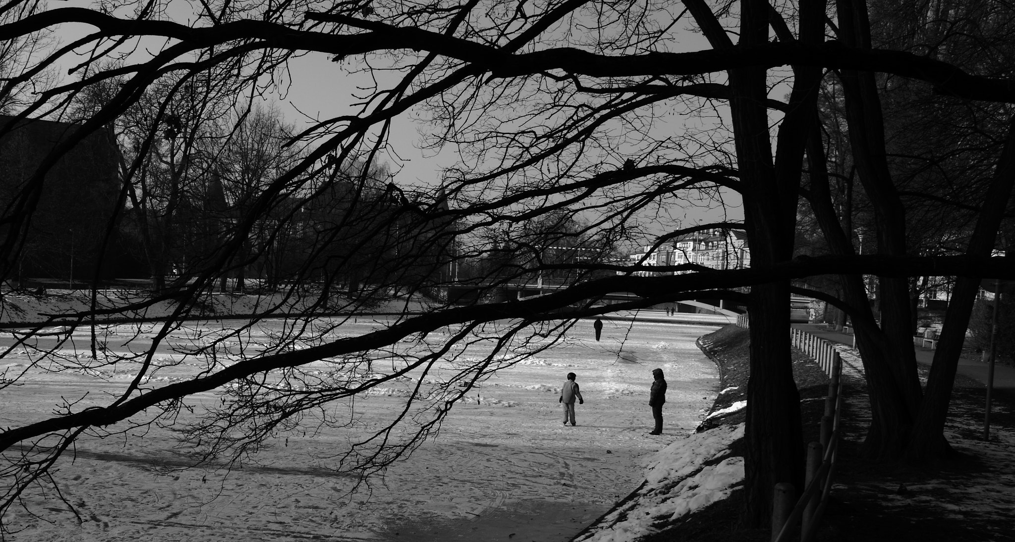 Canon EOS 550D (EOS Rebel T2i / EOS Kiss X4) sample photo. The ice in citi photography