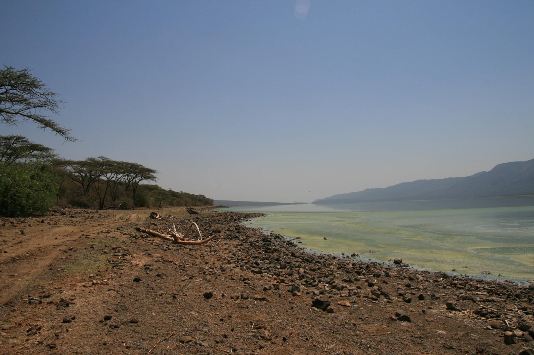 Sigma 18-50mm f/2.8 Macro sample photo. Bogoria /5218 photography