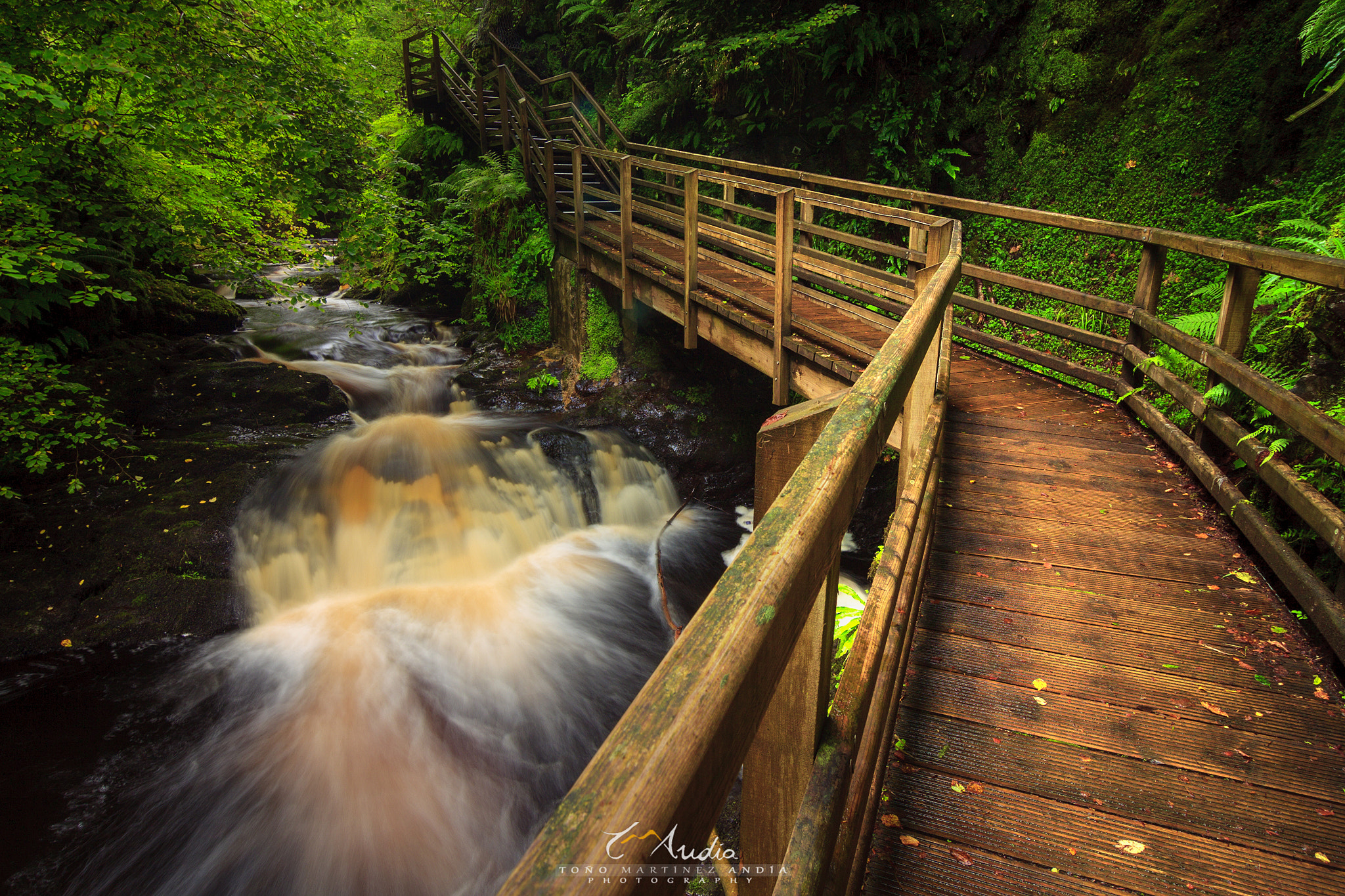 Tokina AT-X Pro 12-24mm F4 (IF) DX sample photo. Chocolate`s water photography