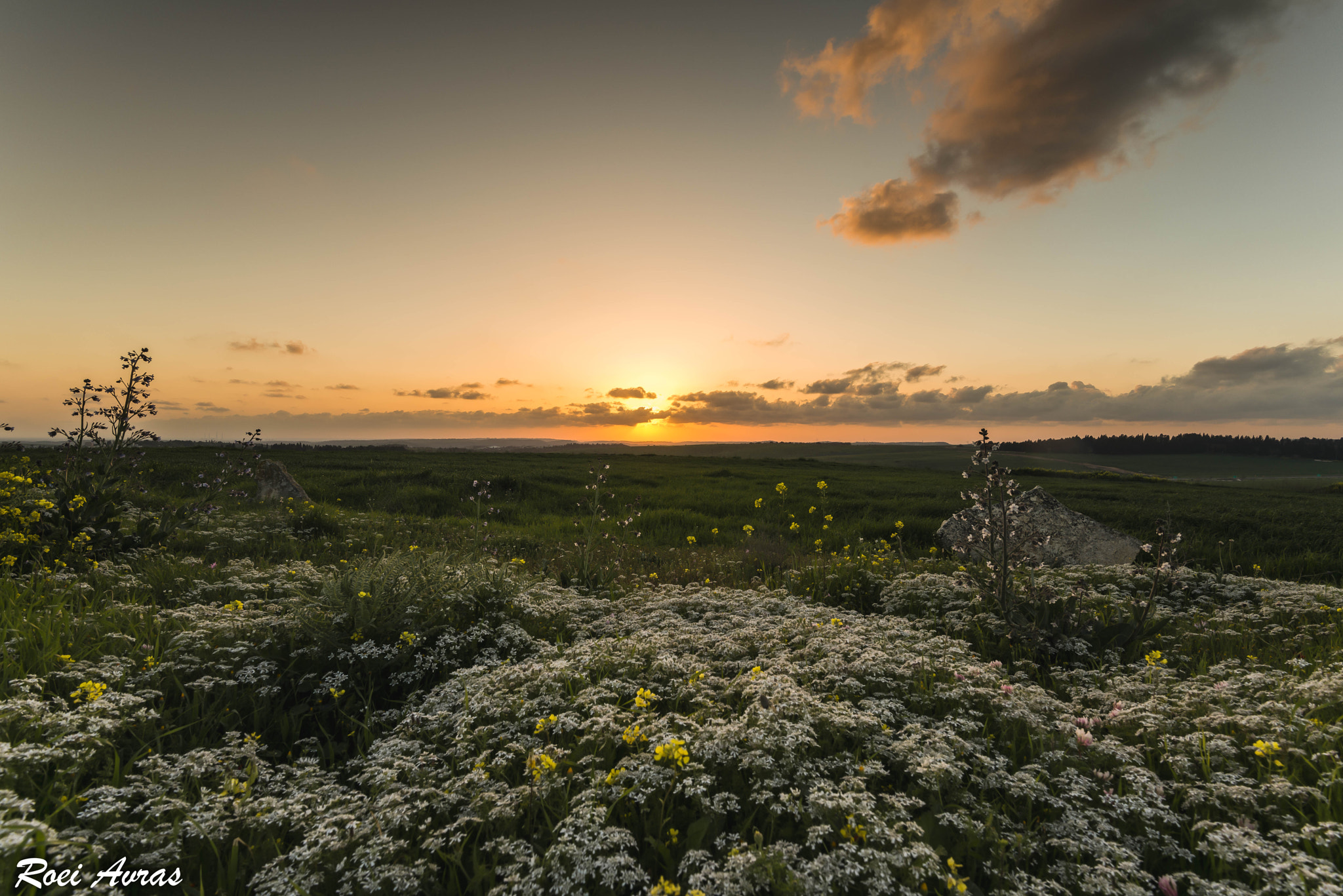 Nikon AF-S Nikkor 16-35mm F4G ED VR sample photo. Edit photography